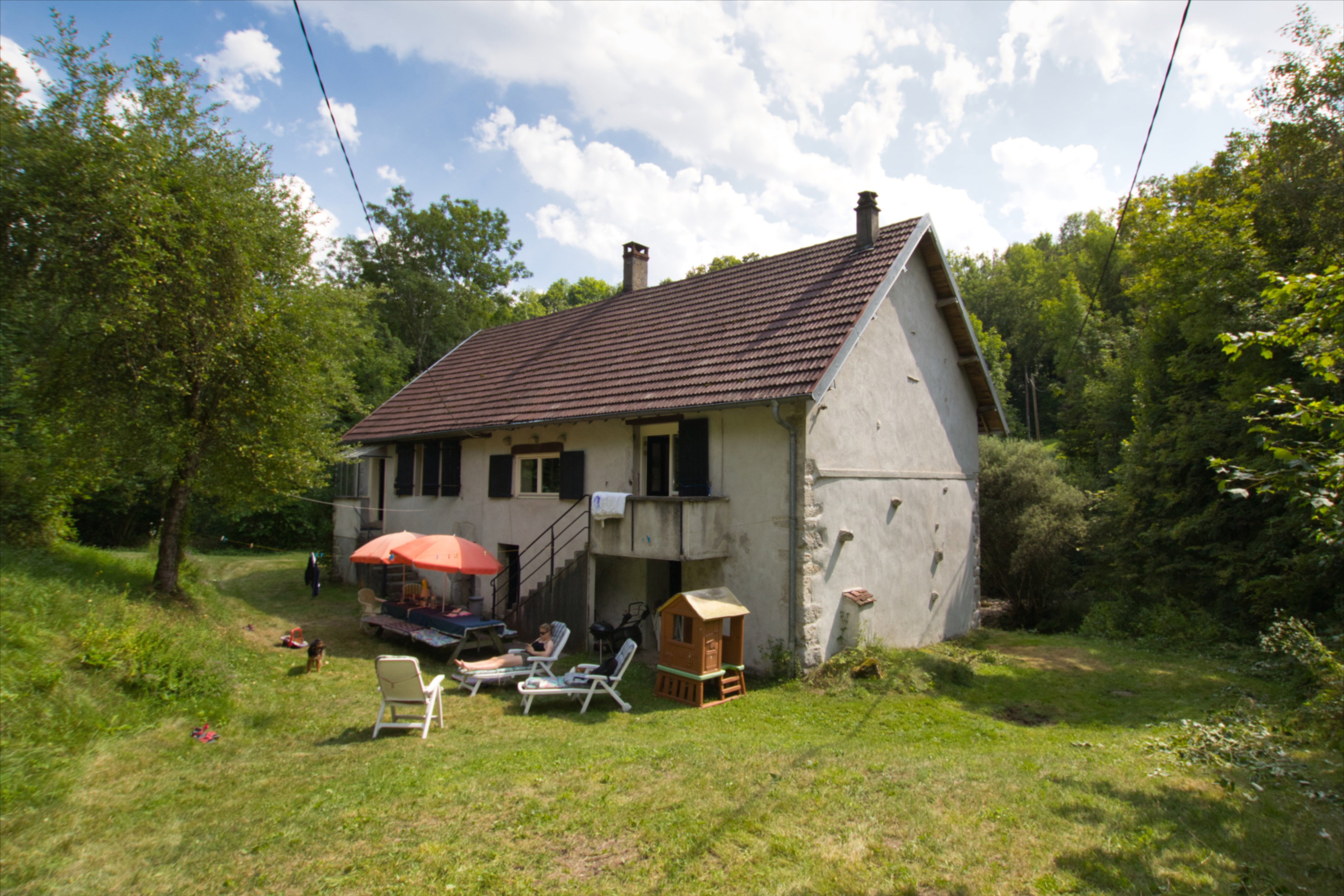 - image: 12