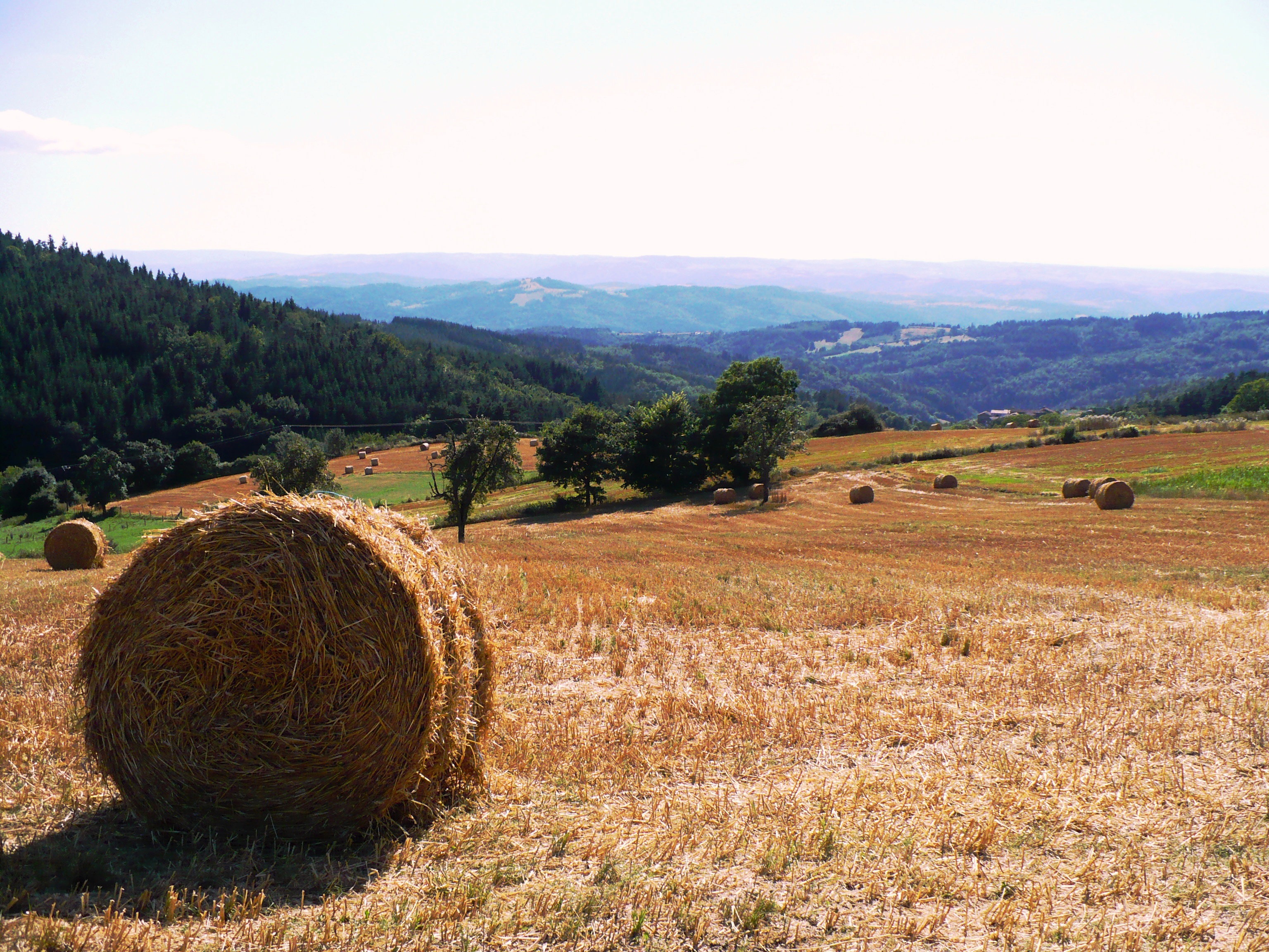 Natuurhuisje in Saint Didier sur Doulon