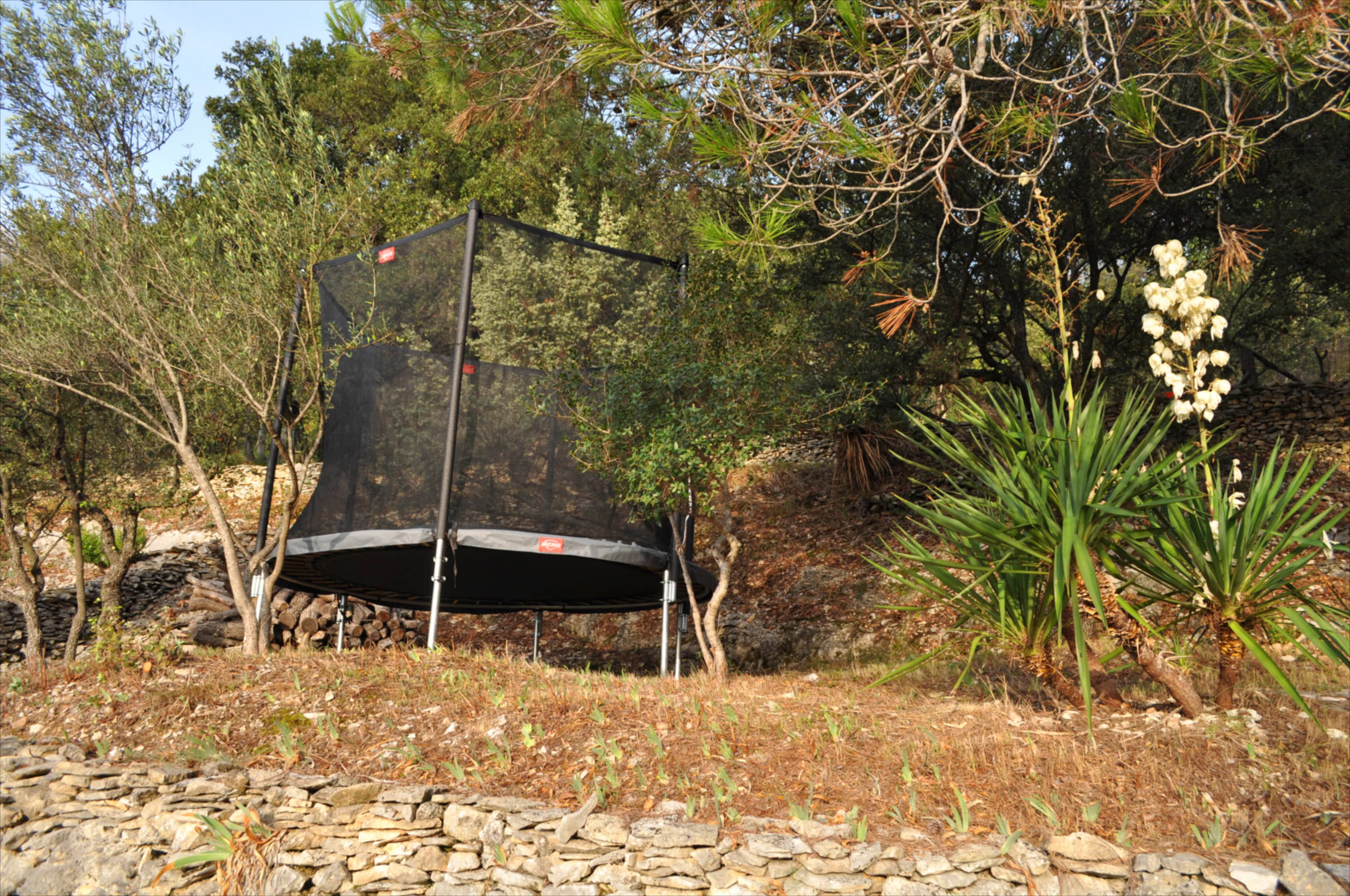 - image: 13