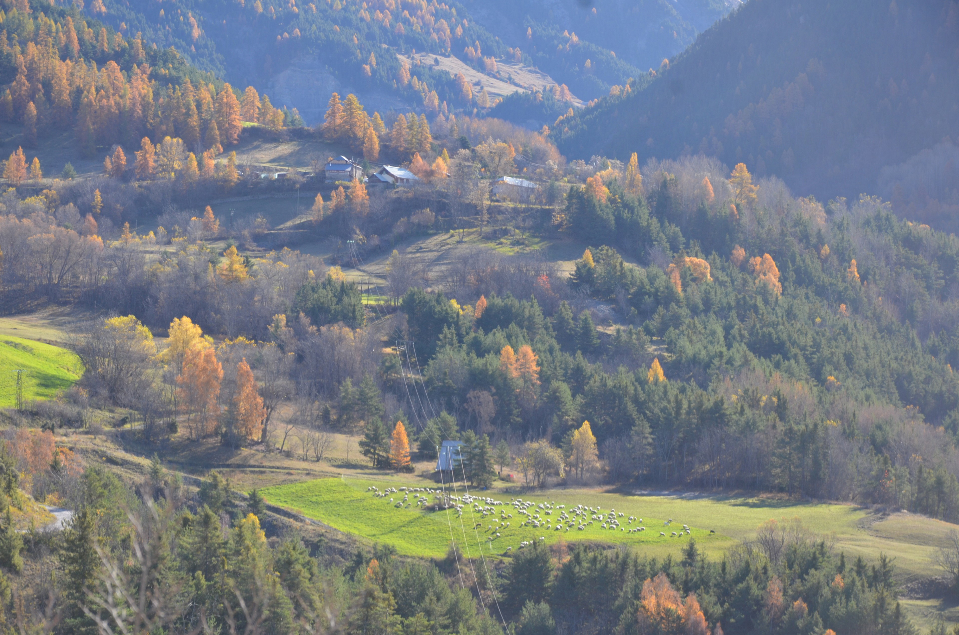 Maison nature à Jausiers