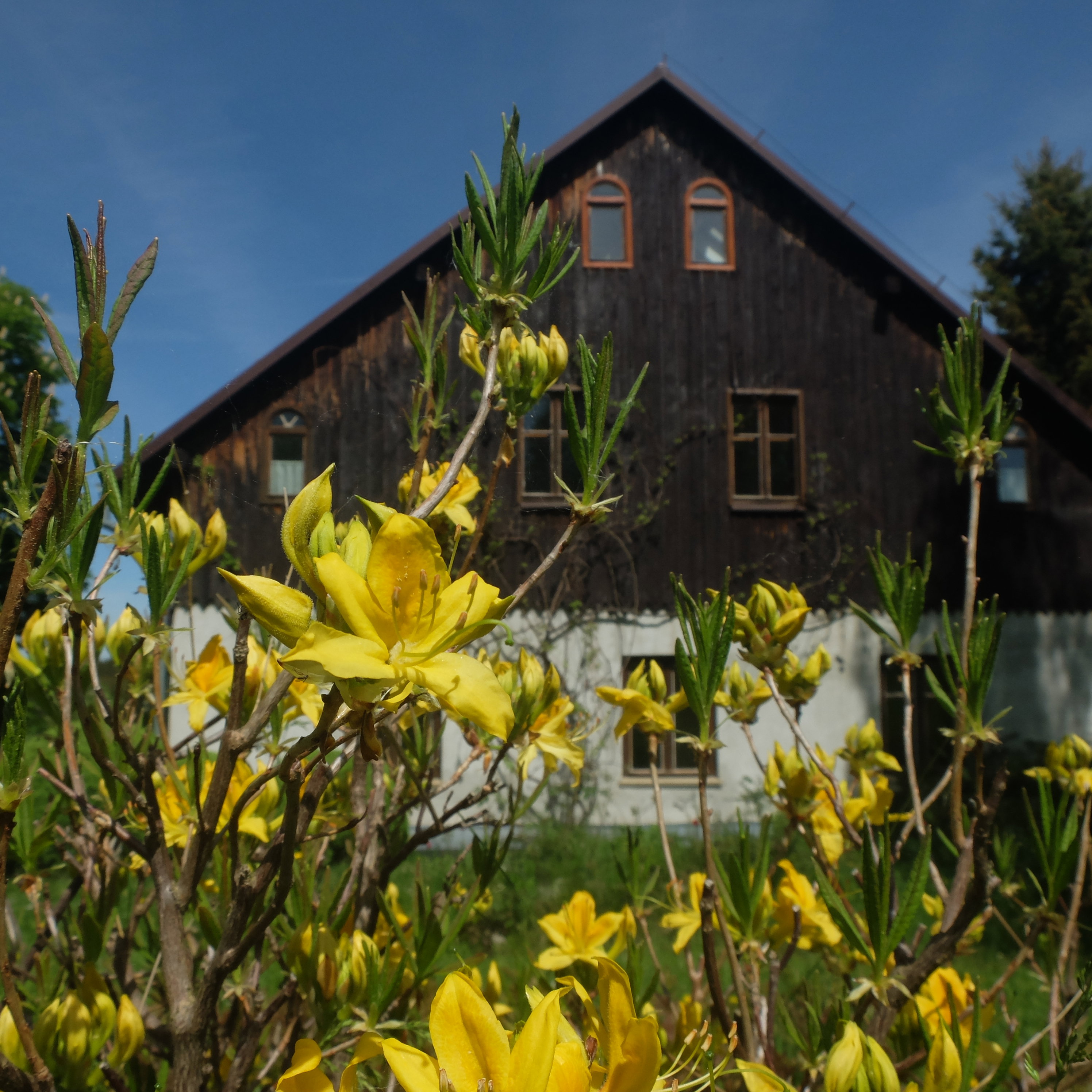 Naturhäuschen in Marianówka
