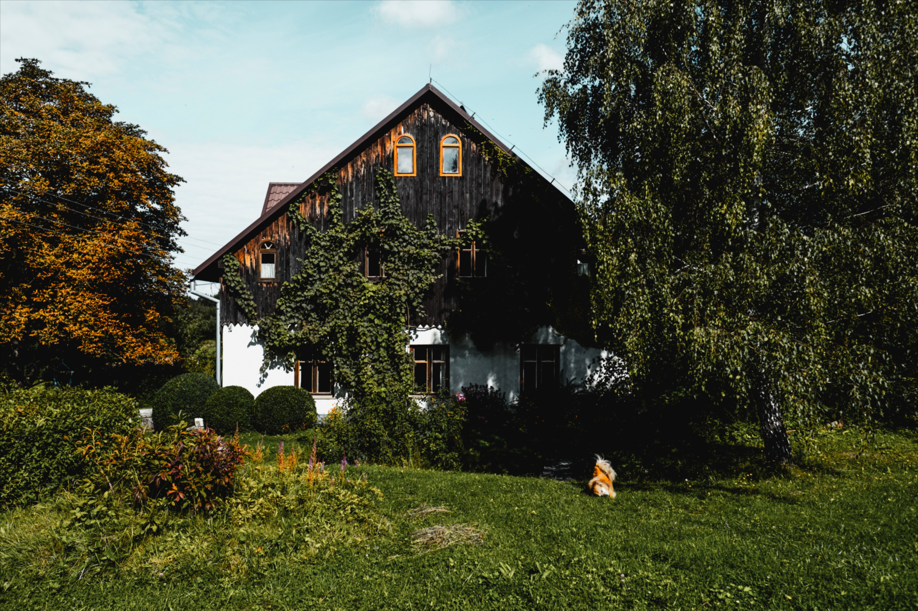 Naturhäuschen in Marianówka