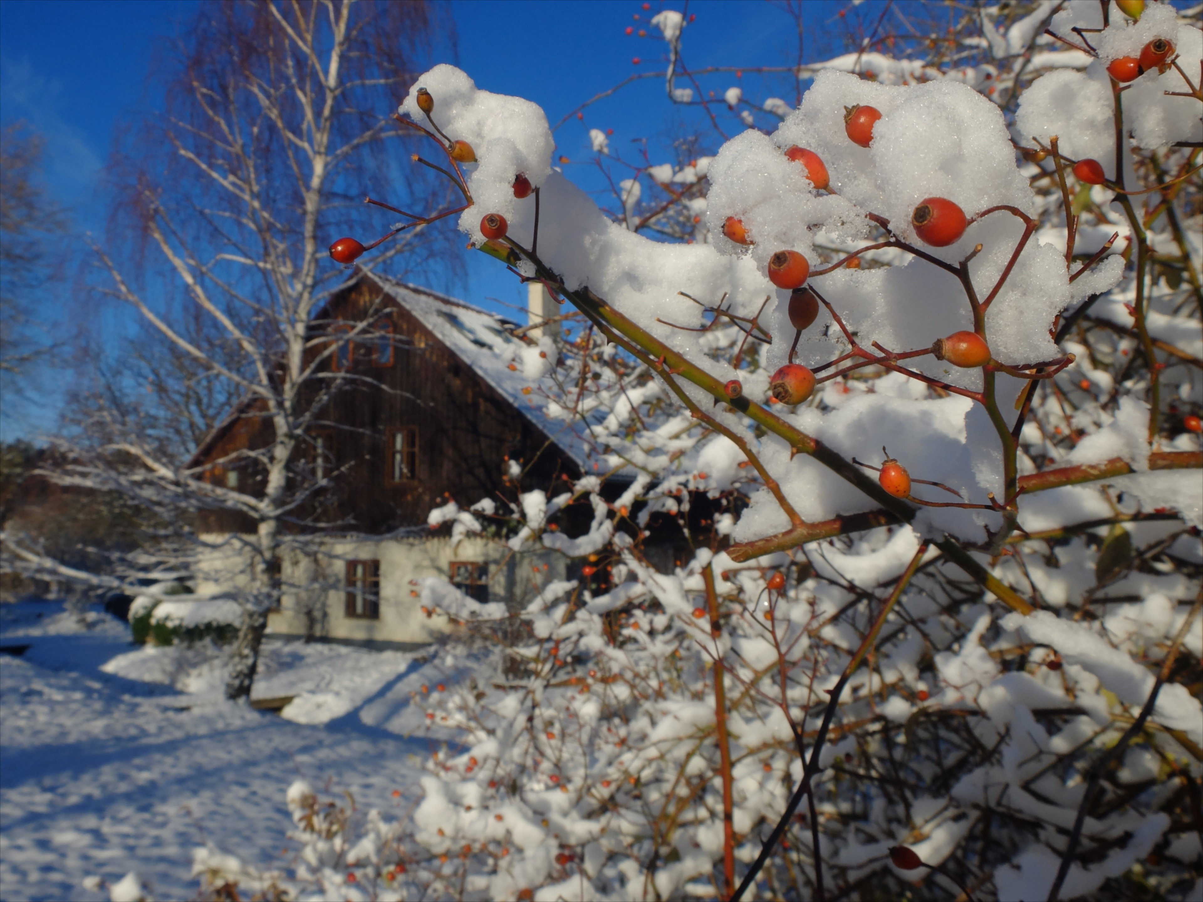 Naturhäuschen in Marianówka