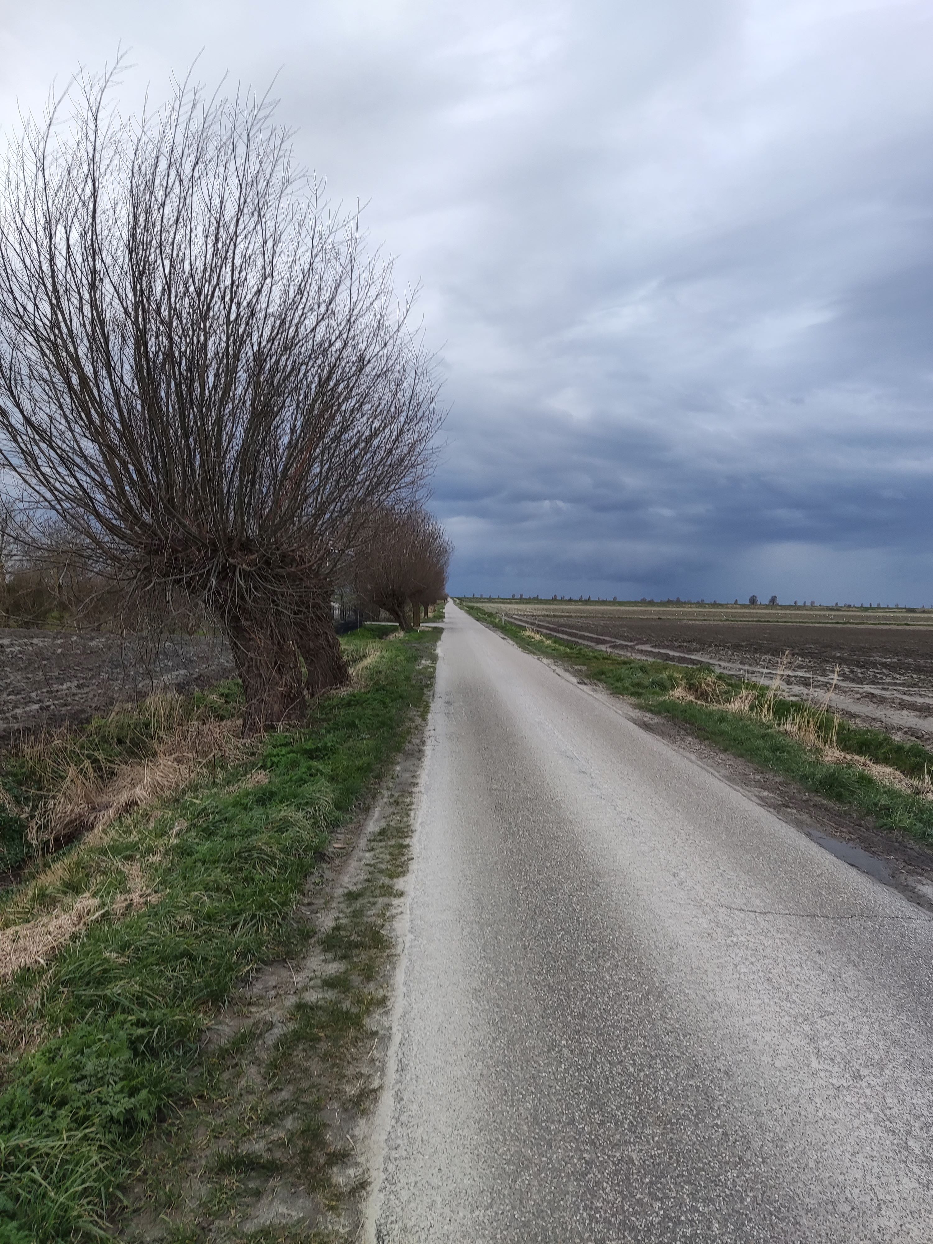 - image: 19