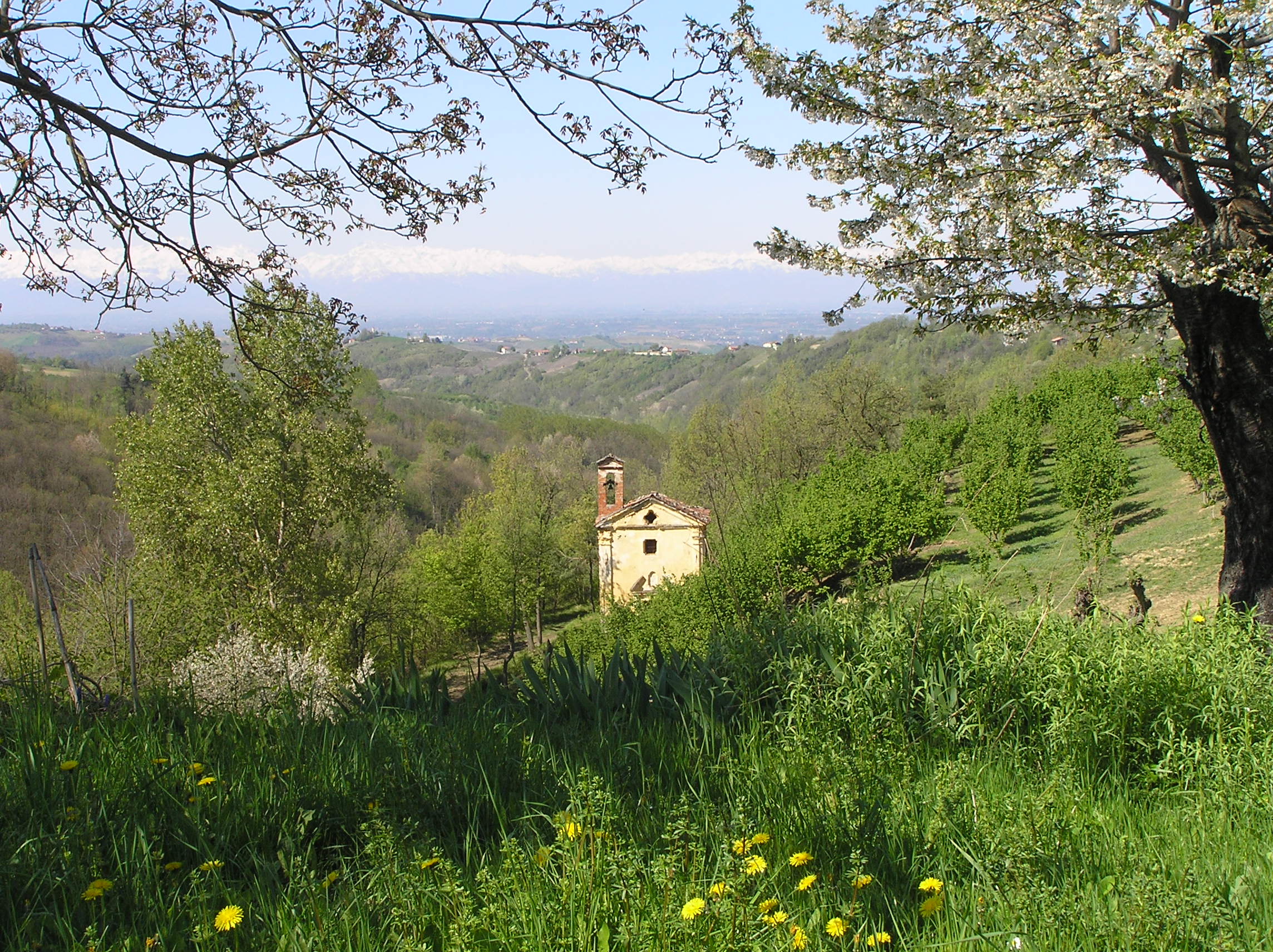 - image: 28