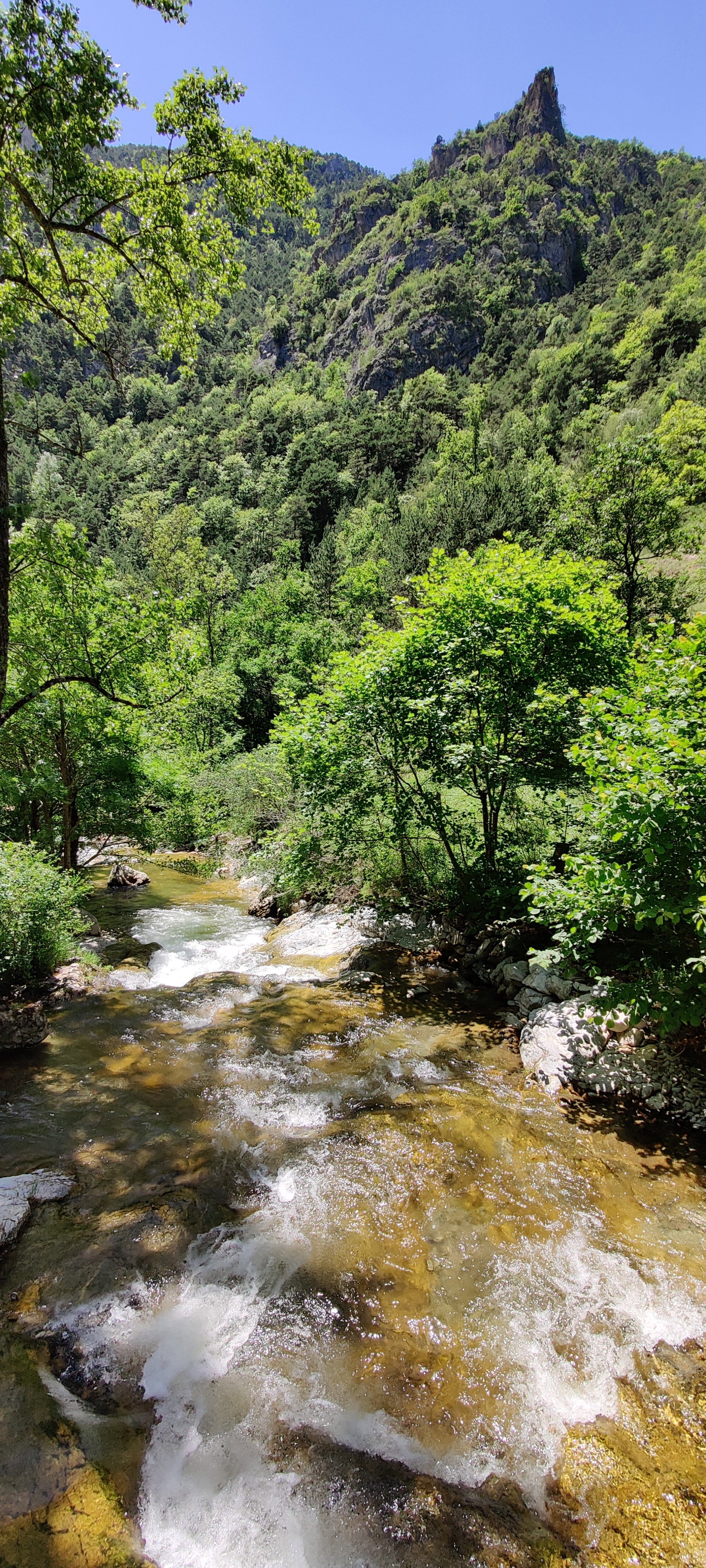 - image: 38