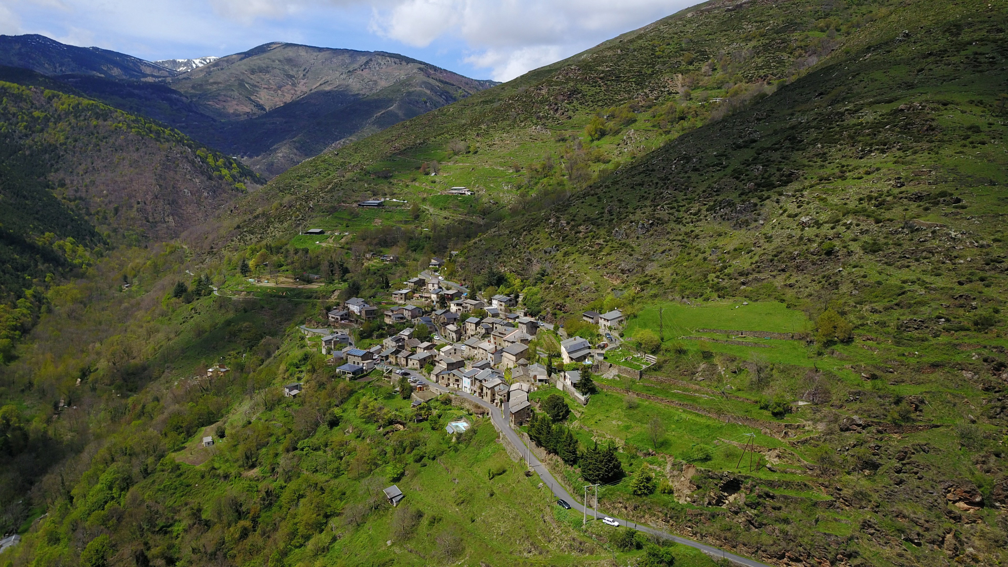 - image: 13