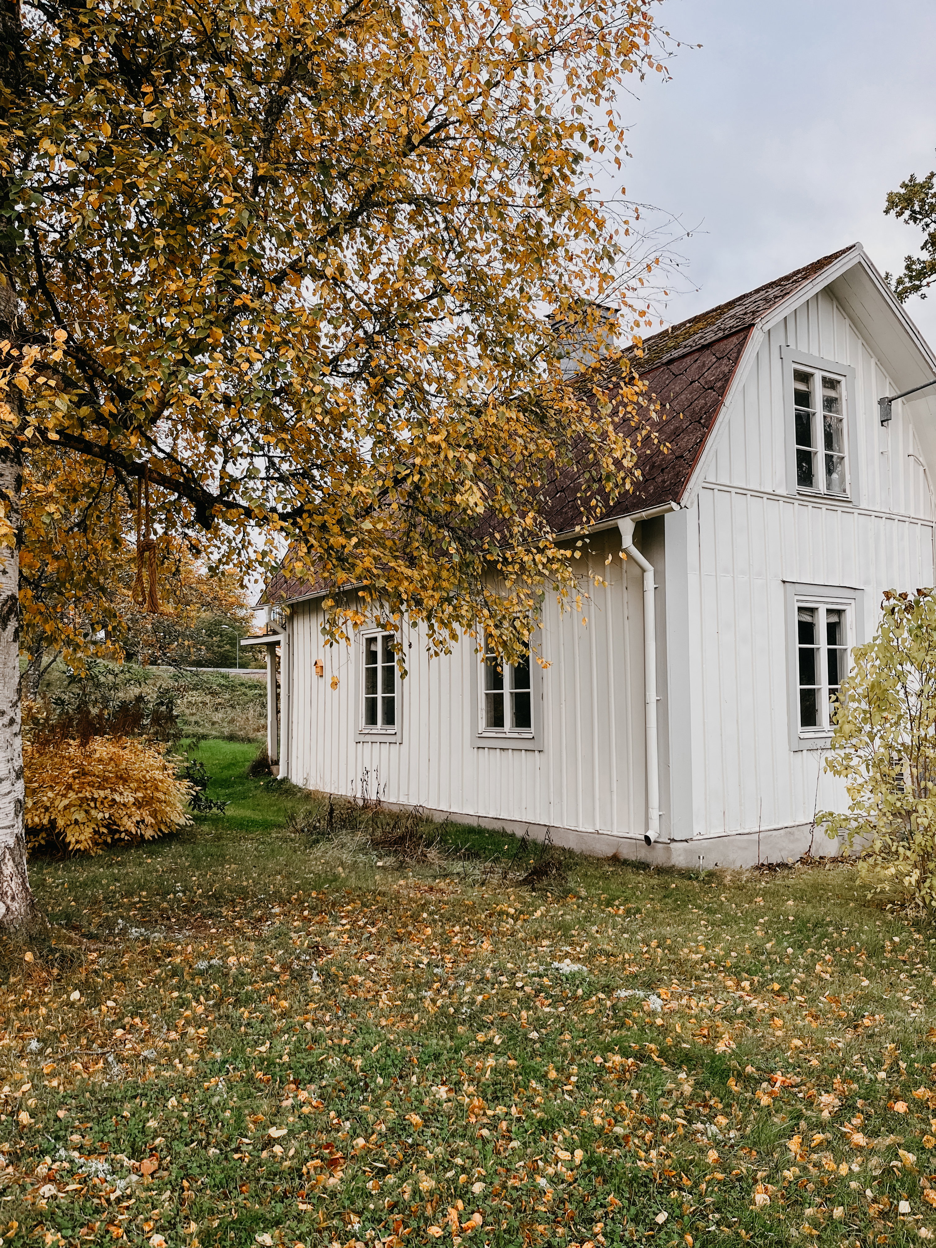 - image: 45