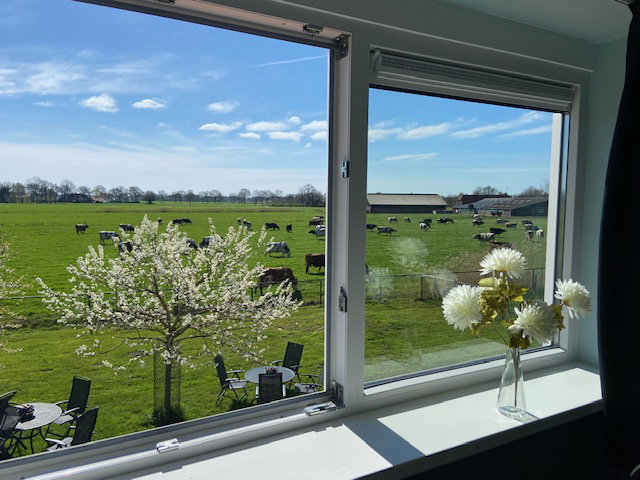 Natuurhuisje in Raalte