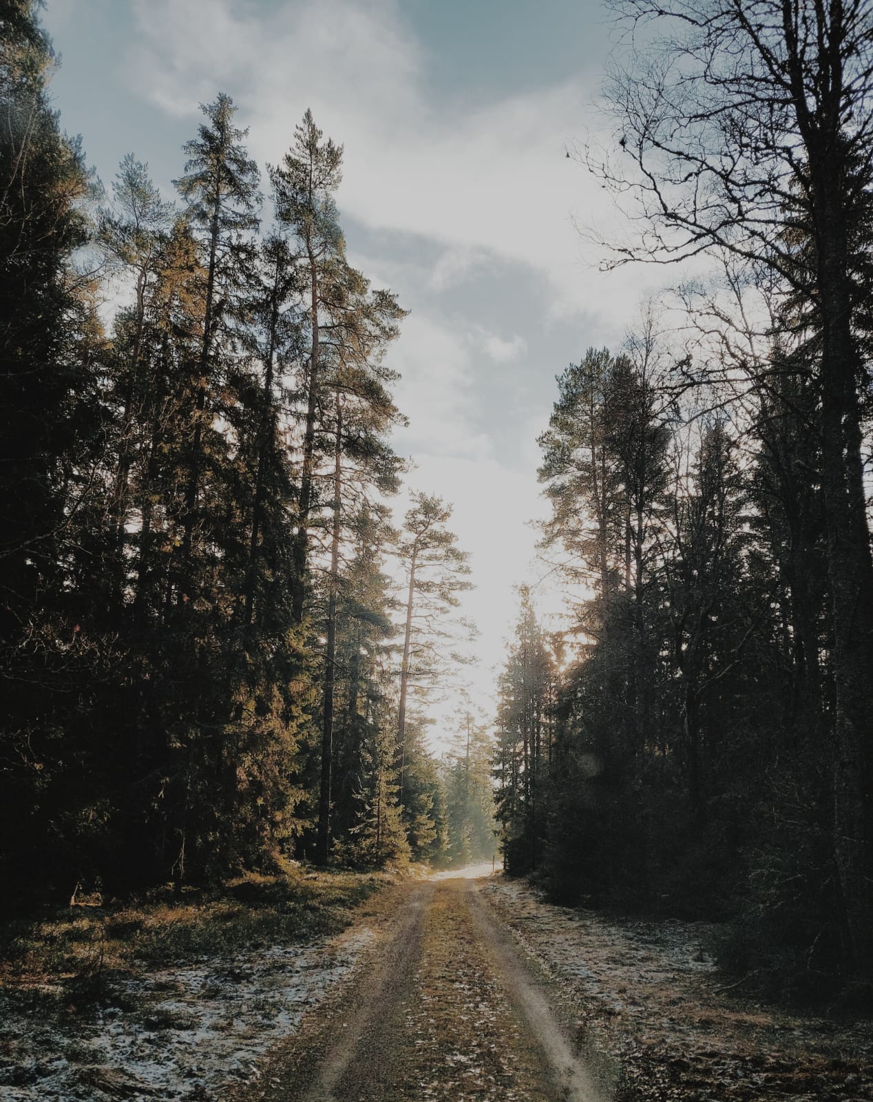 - image: 22