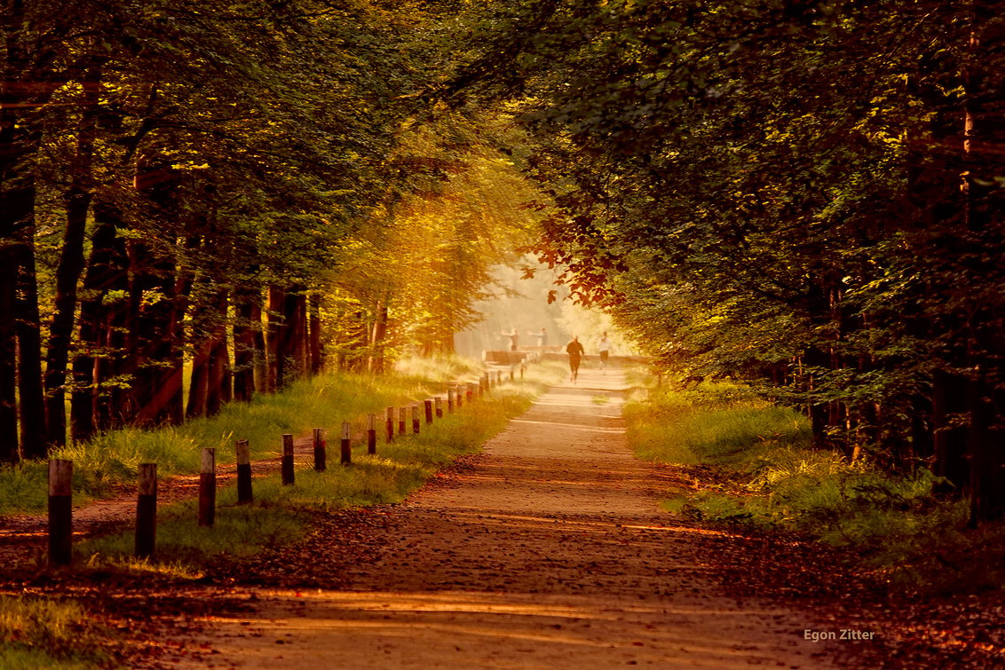 - image: 25