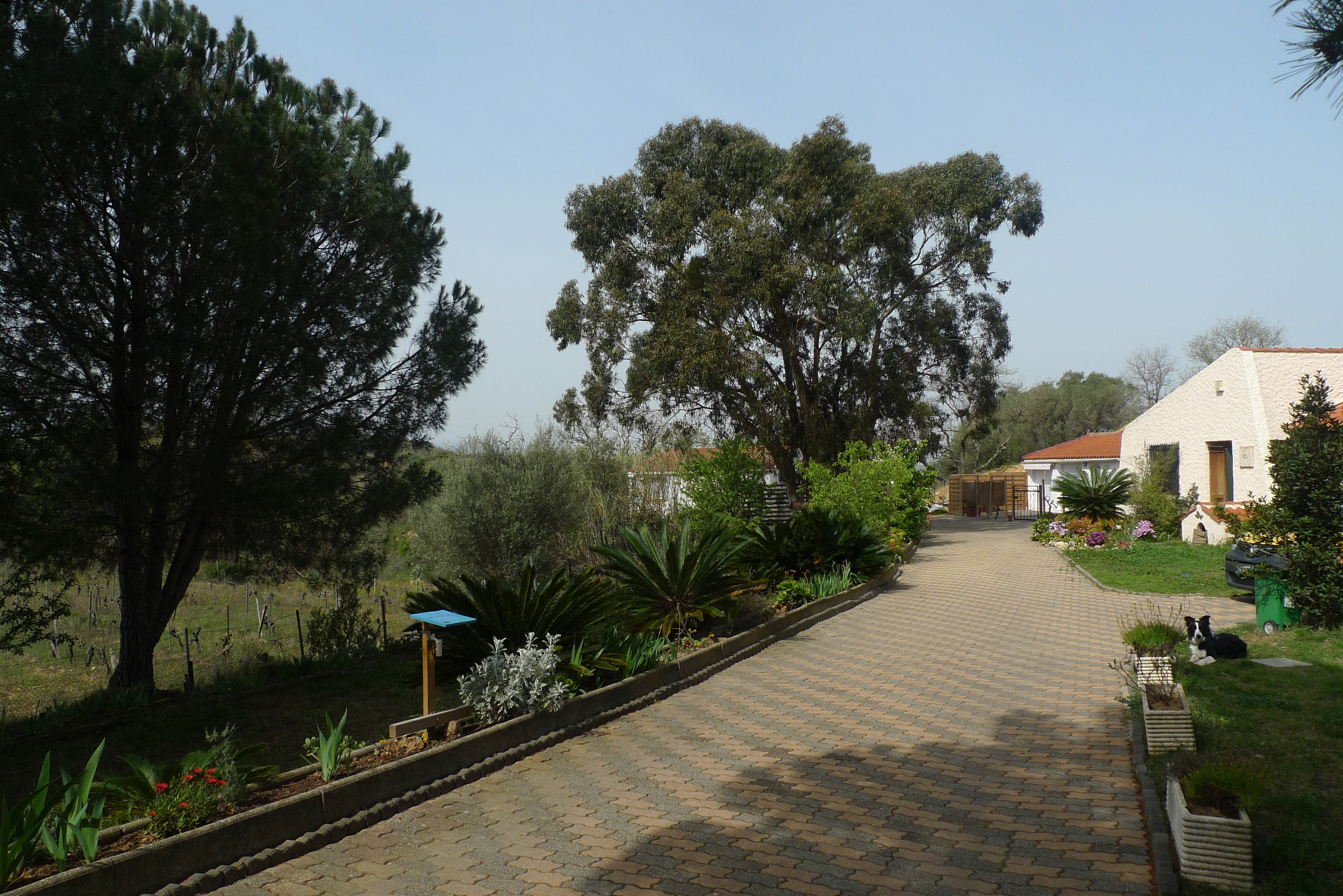 Natuurhuisje in Ortaffa