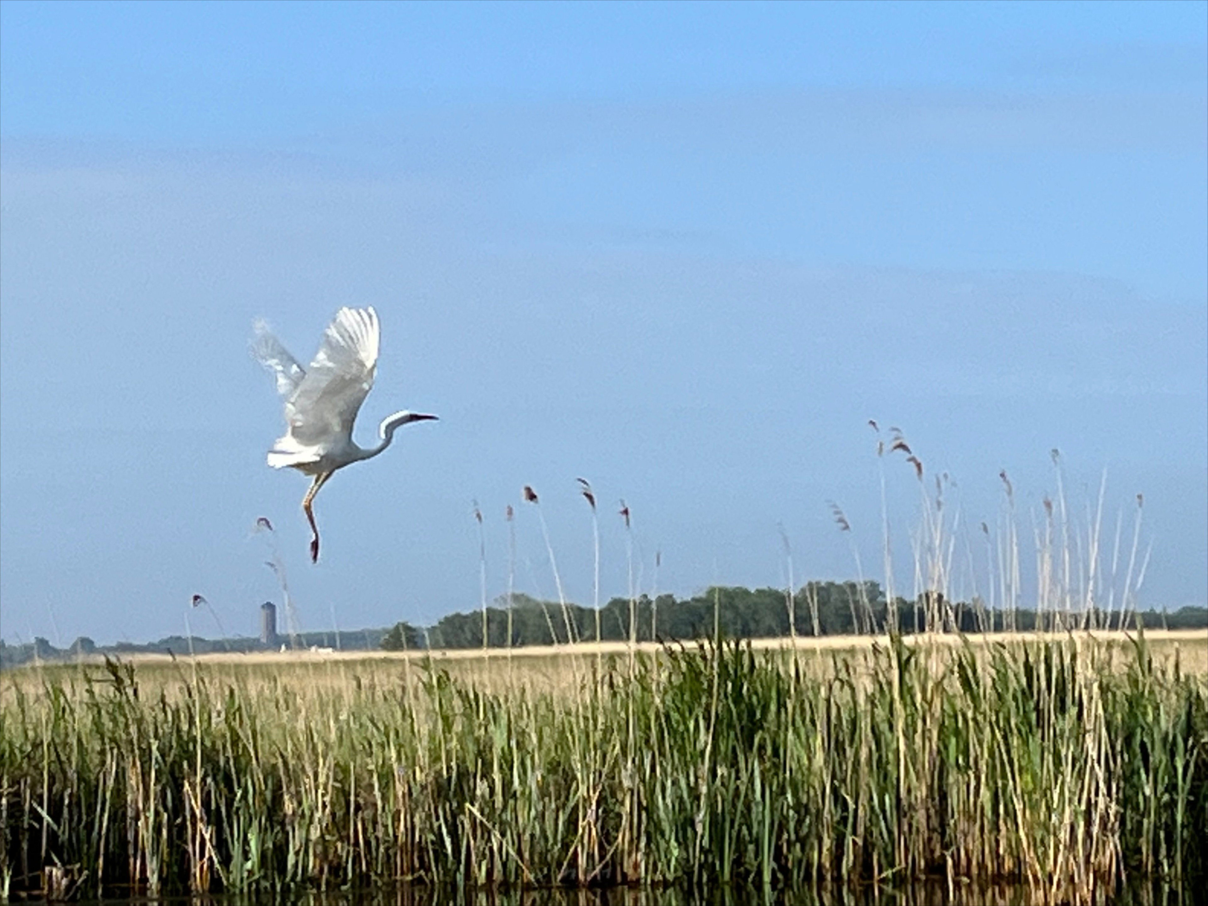 Naturhäuschen in Kalenberg