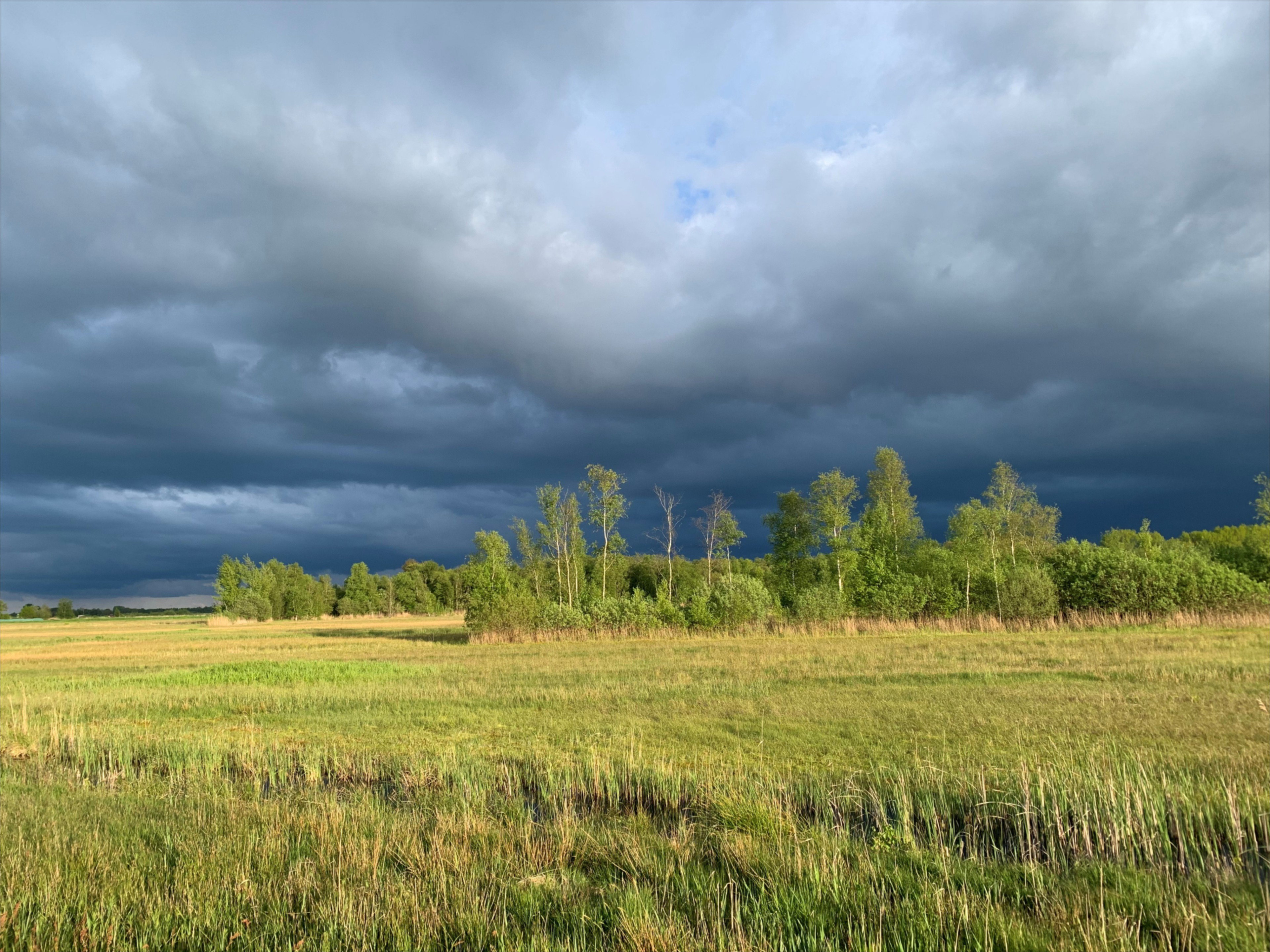 Naturhäuschen in Kalenberg