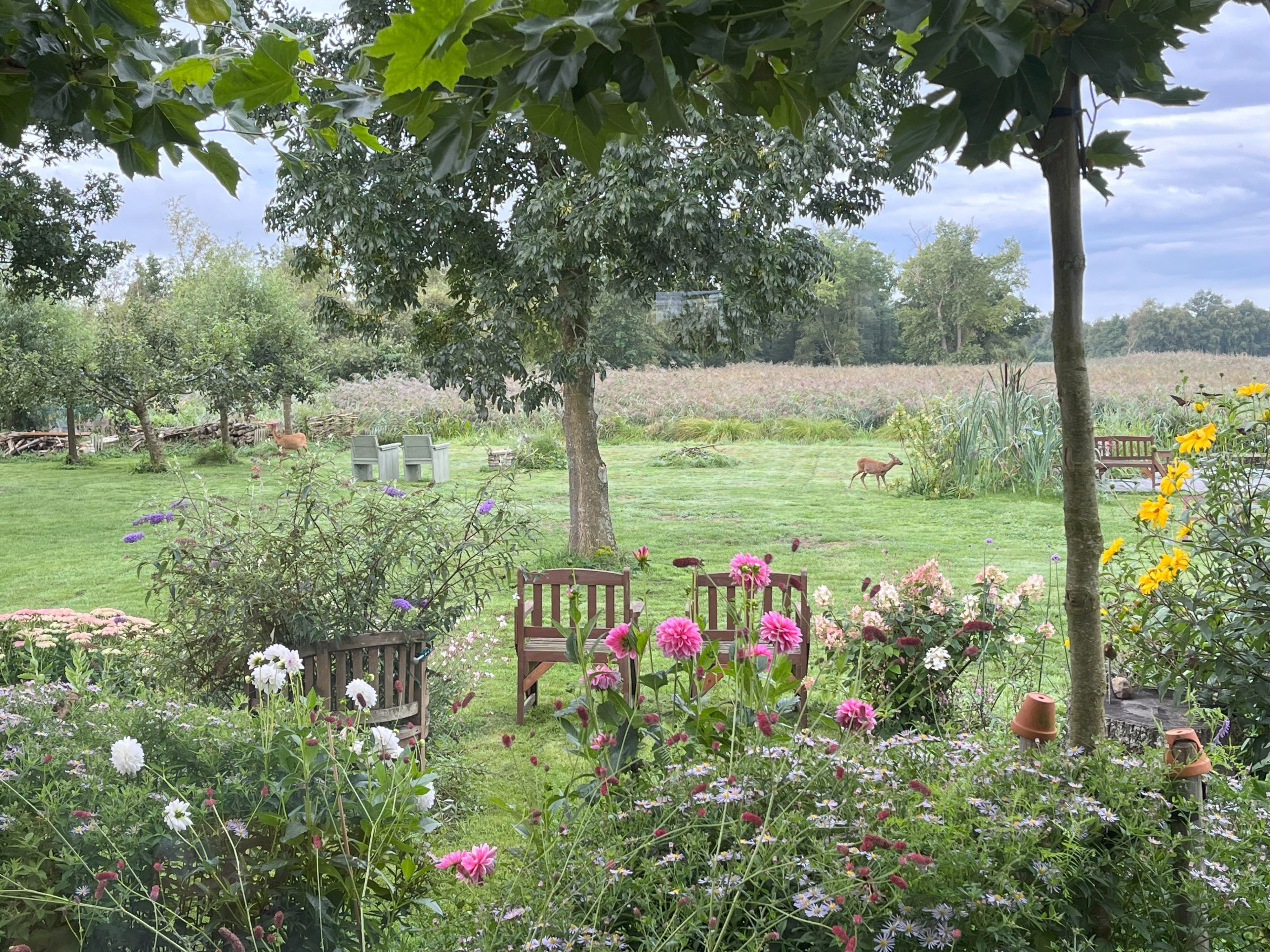 Naturhäuschen in Kalenberg