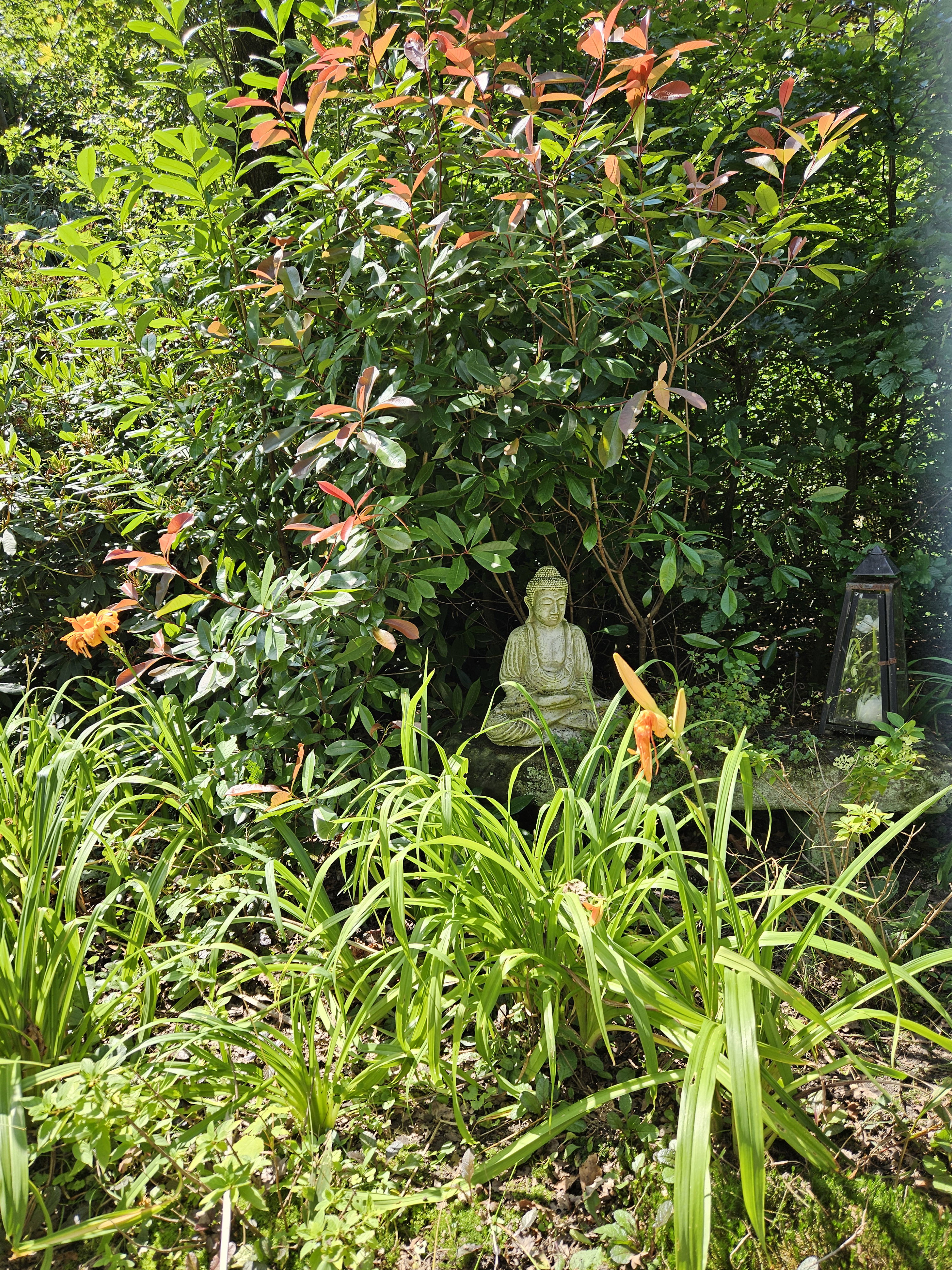 Naturhäuschen in Nutter