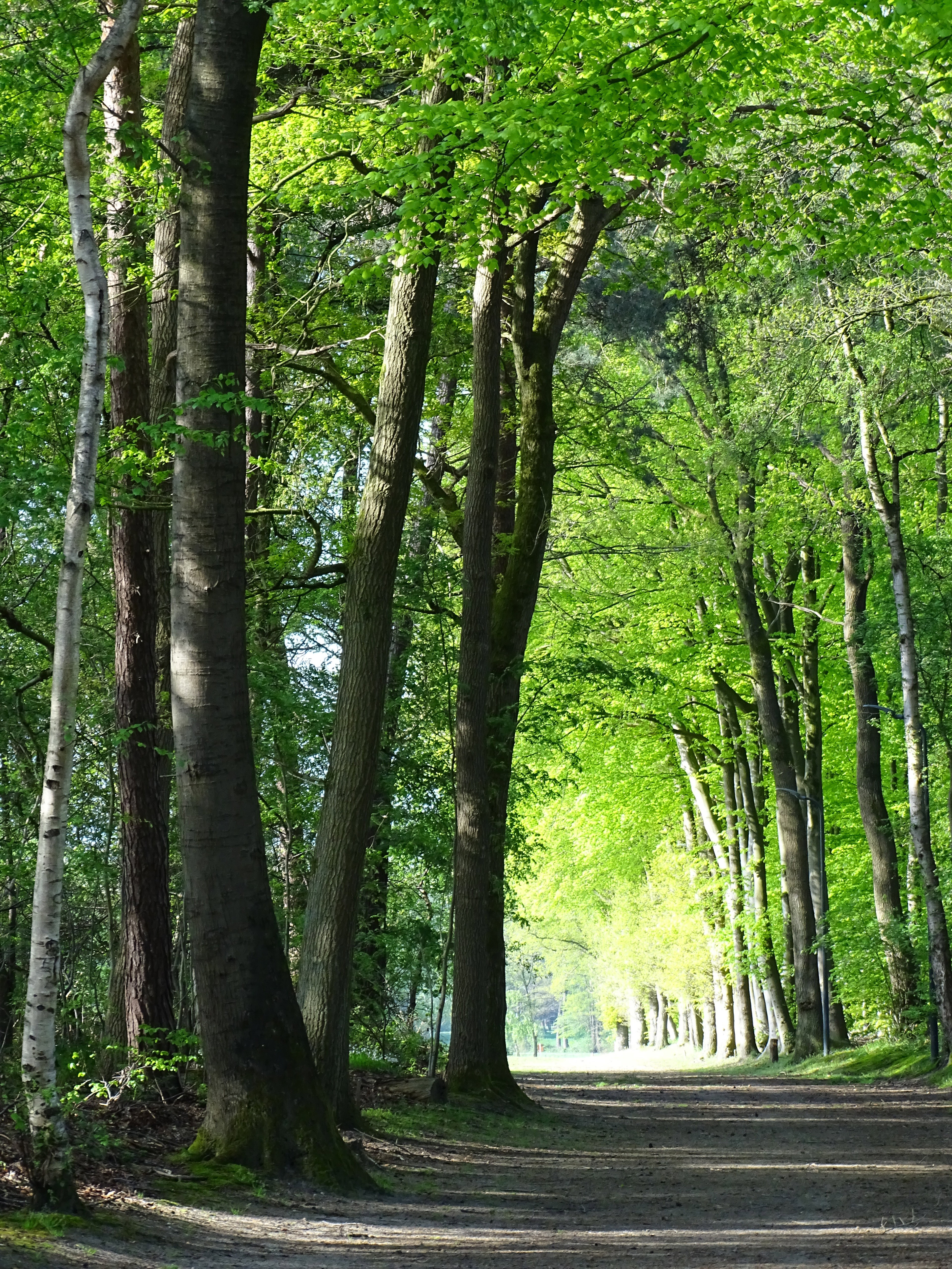 - image: 27
