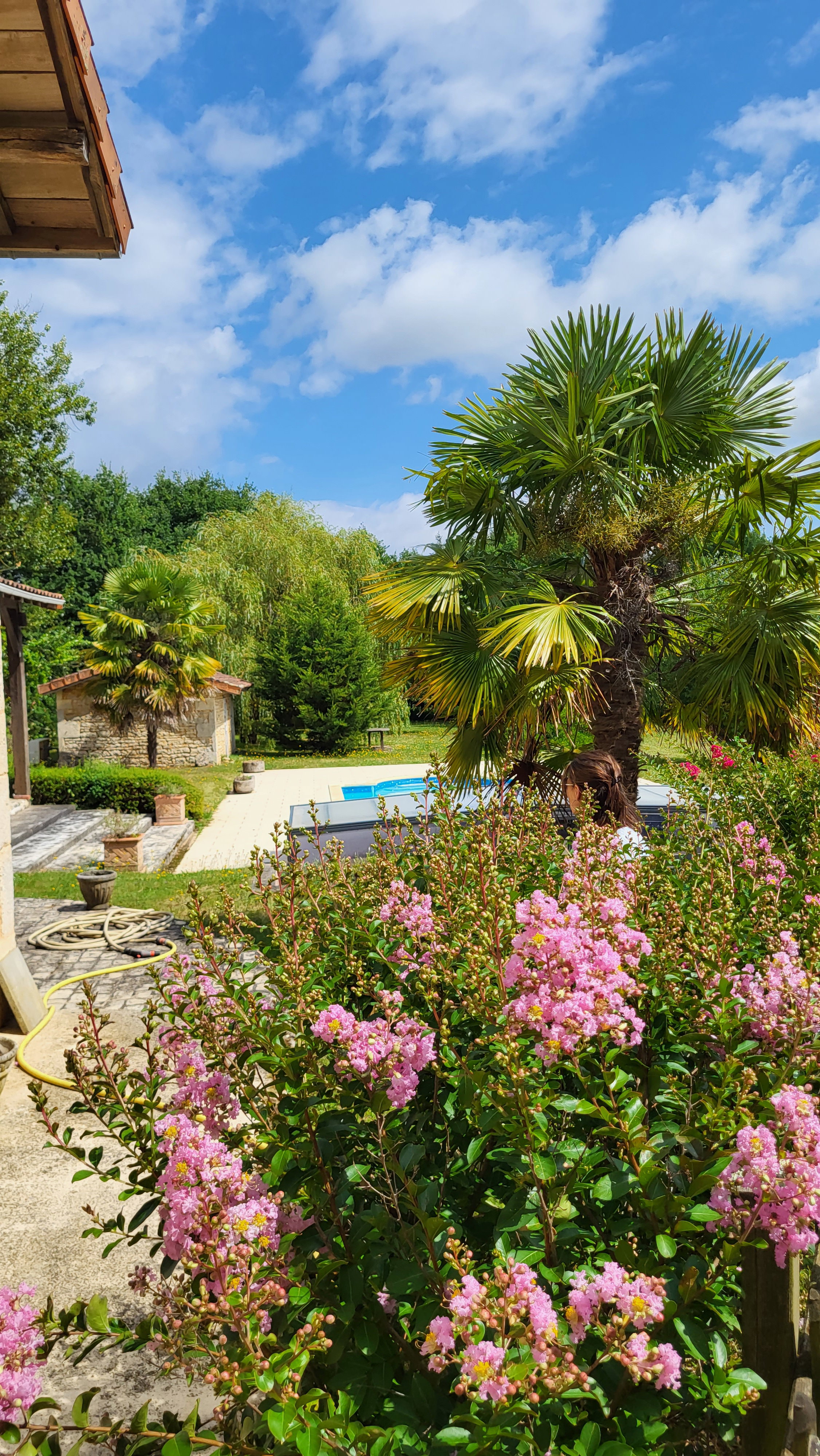 Casa nella natura a Cellefrouin
