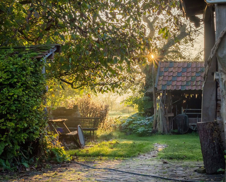 Casa nella natura a Kesteren