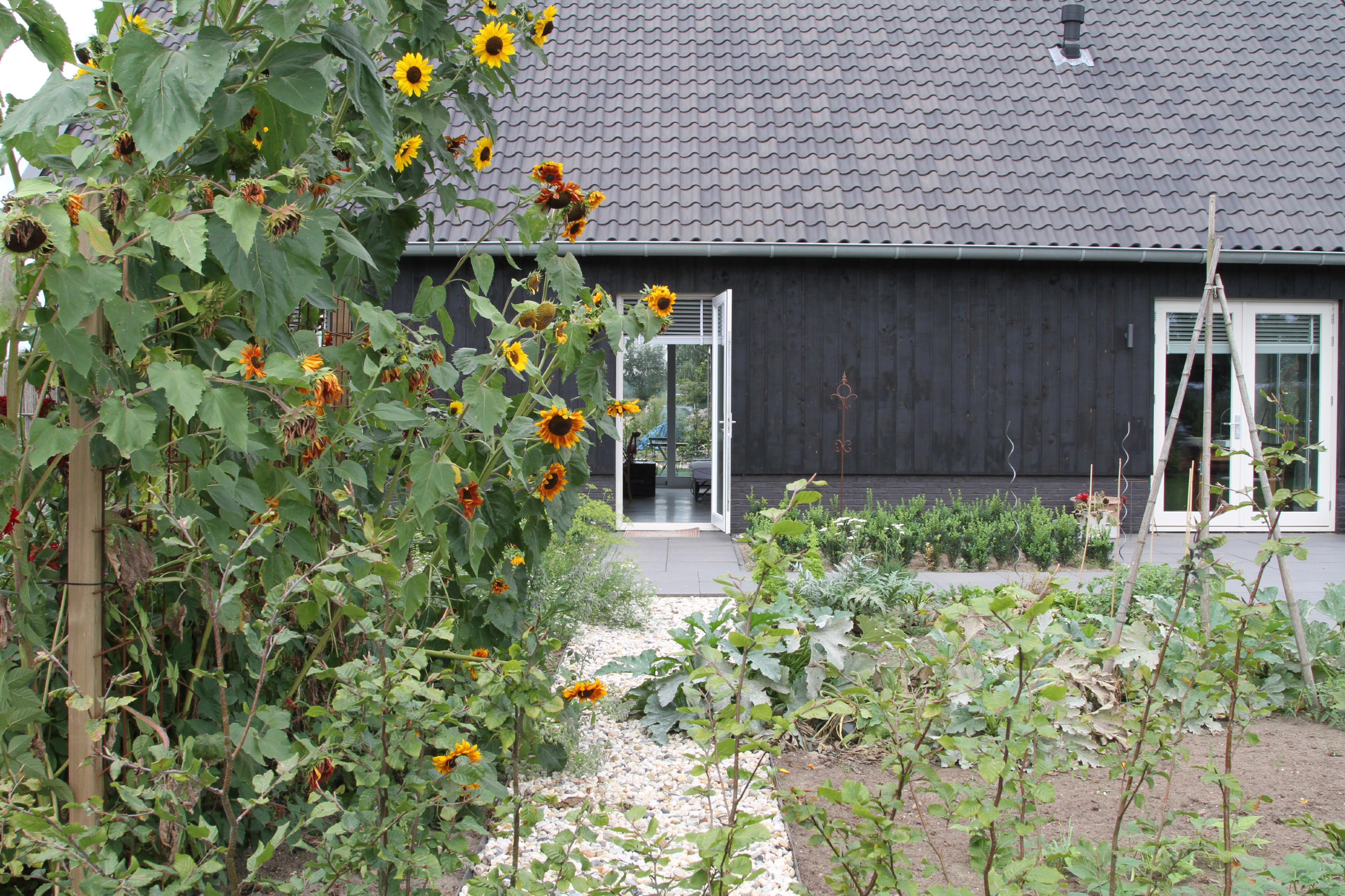 Nature house in Didam
