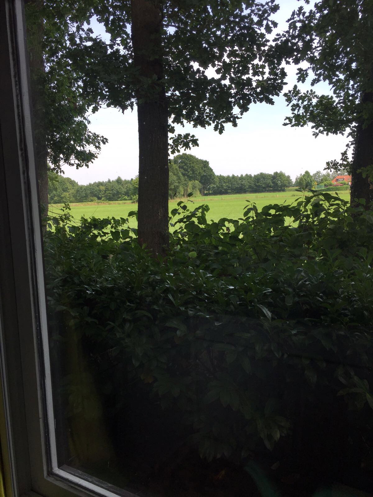 Naturhäuschen in Haaksbergen Buurse