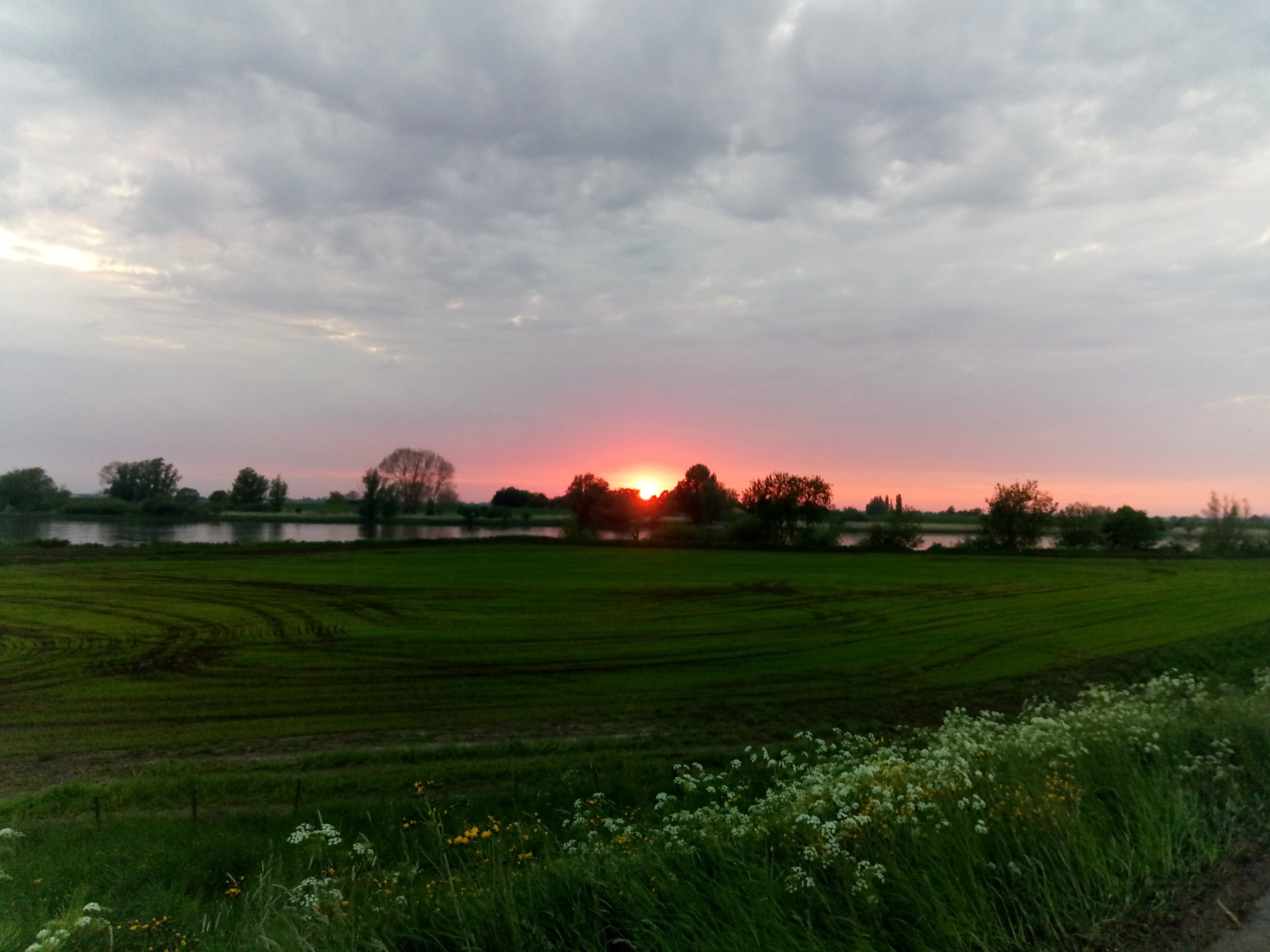 - image: 13