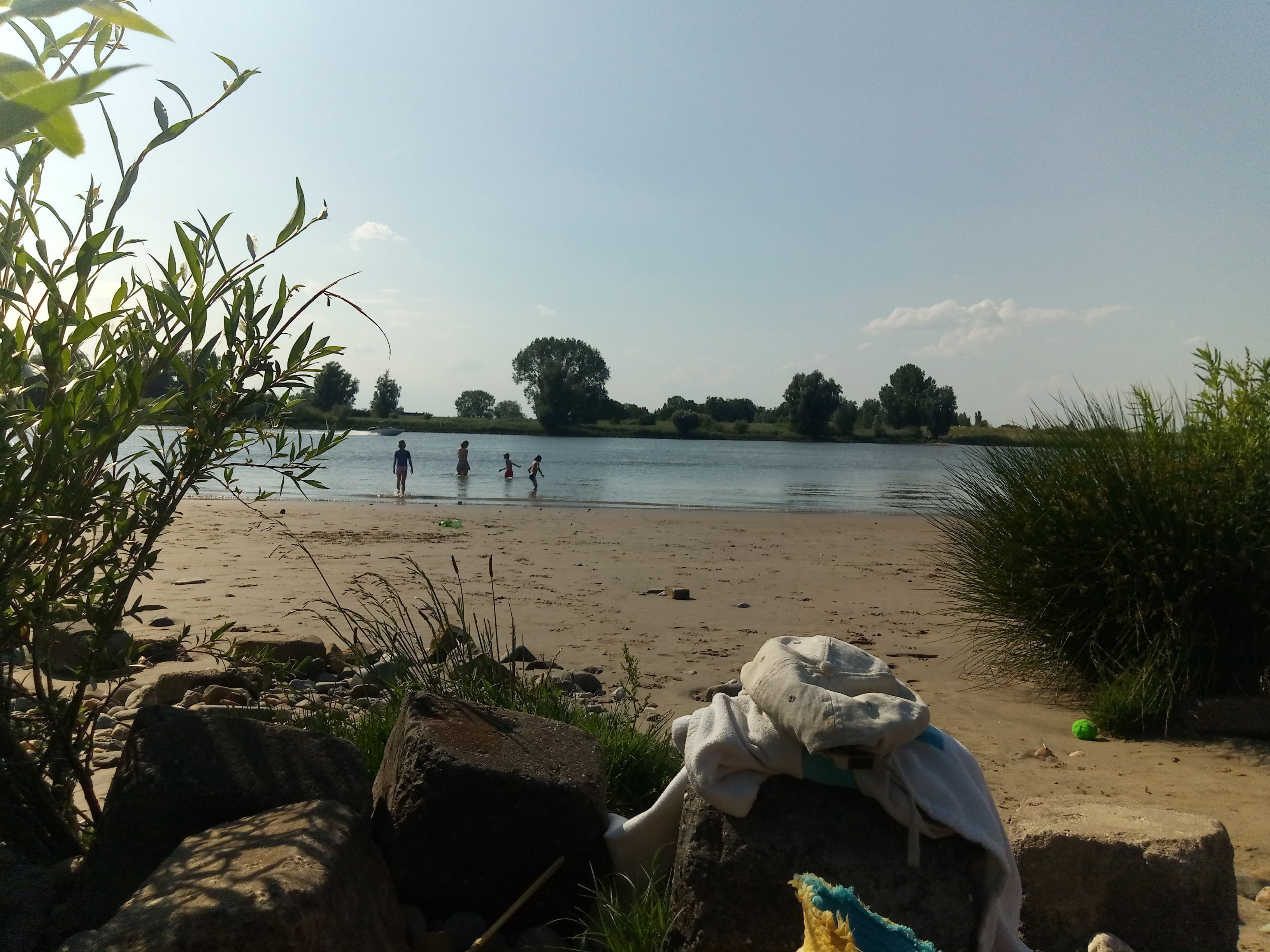 - image: 12