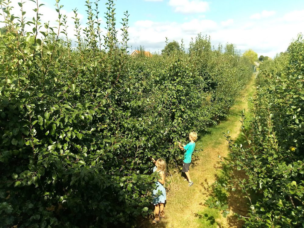 Natuurhuisje in Tienhoven a/d Lek