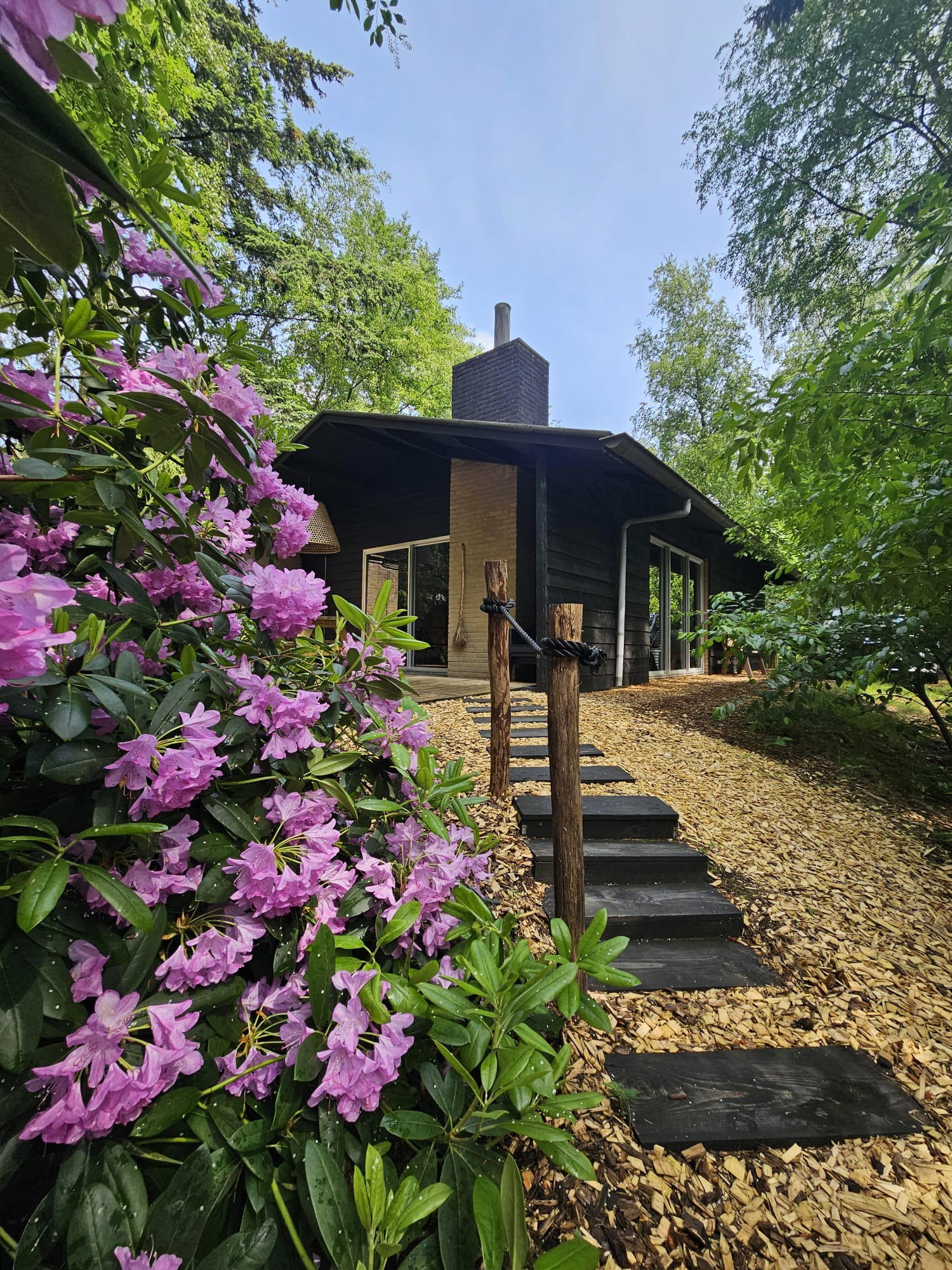 Nature house in Rheezerveen