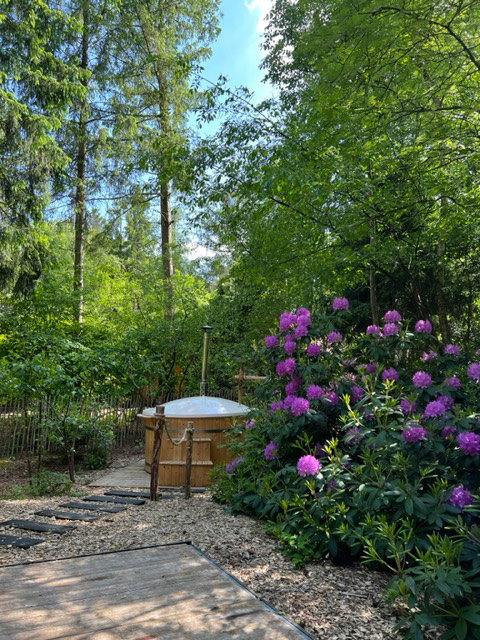Naturhäuschen in Rheezerveen