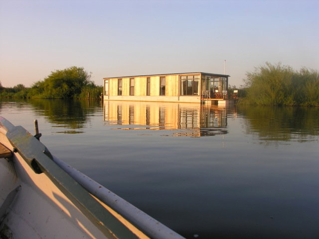 - image: 1