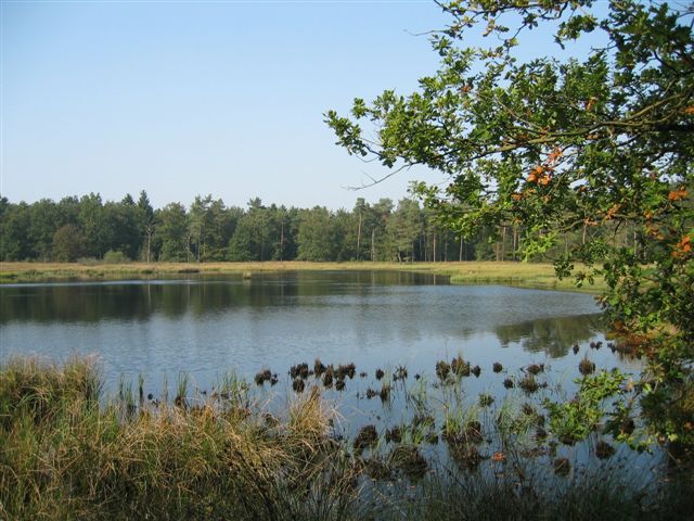 - image: 42