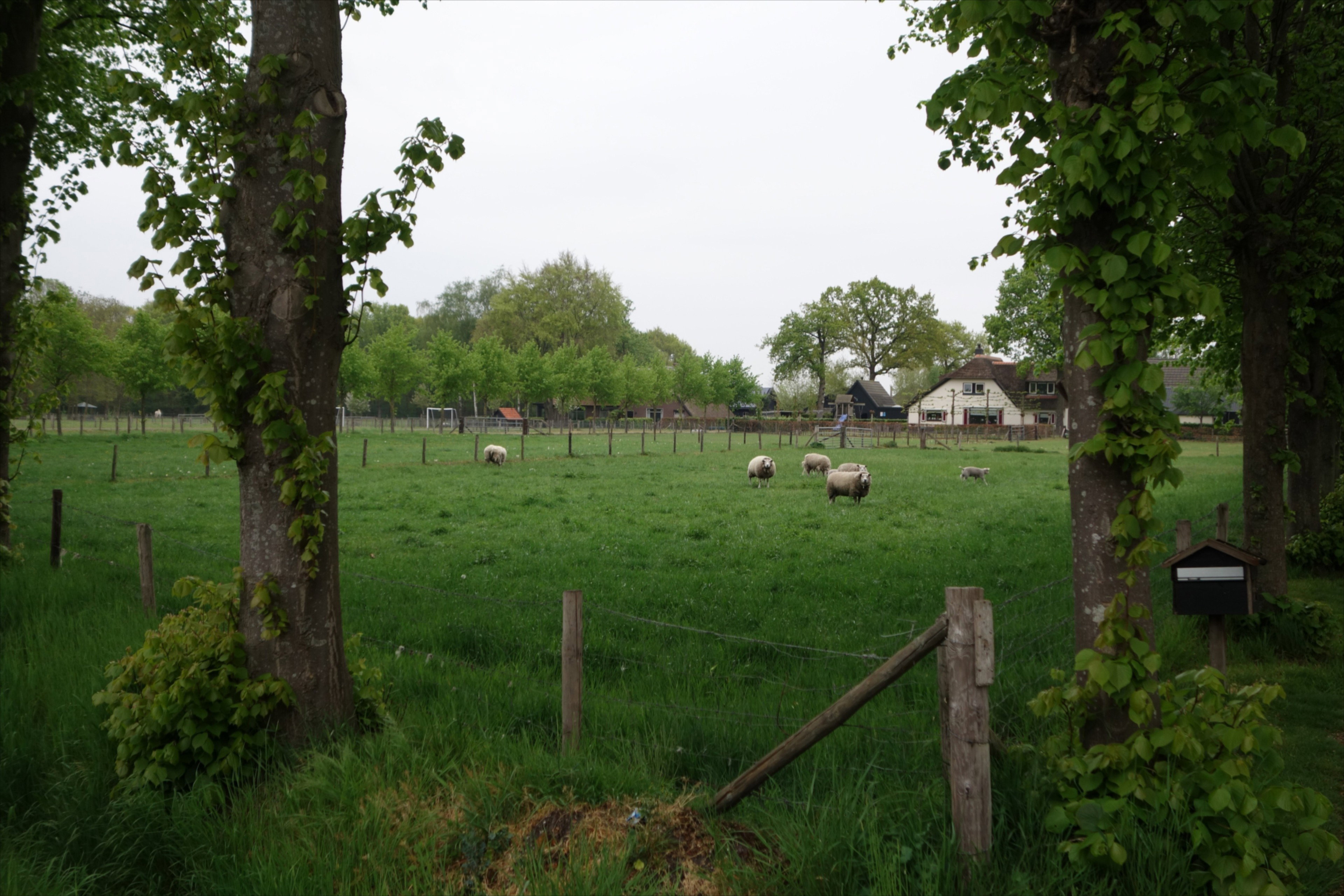 Casa nella natura a Uddel