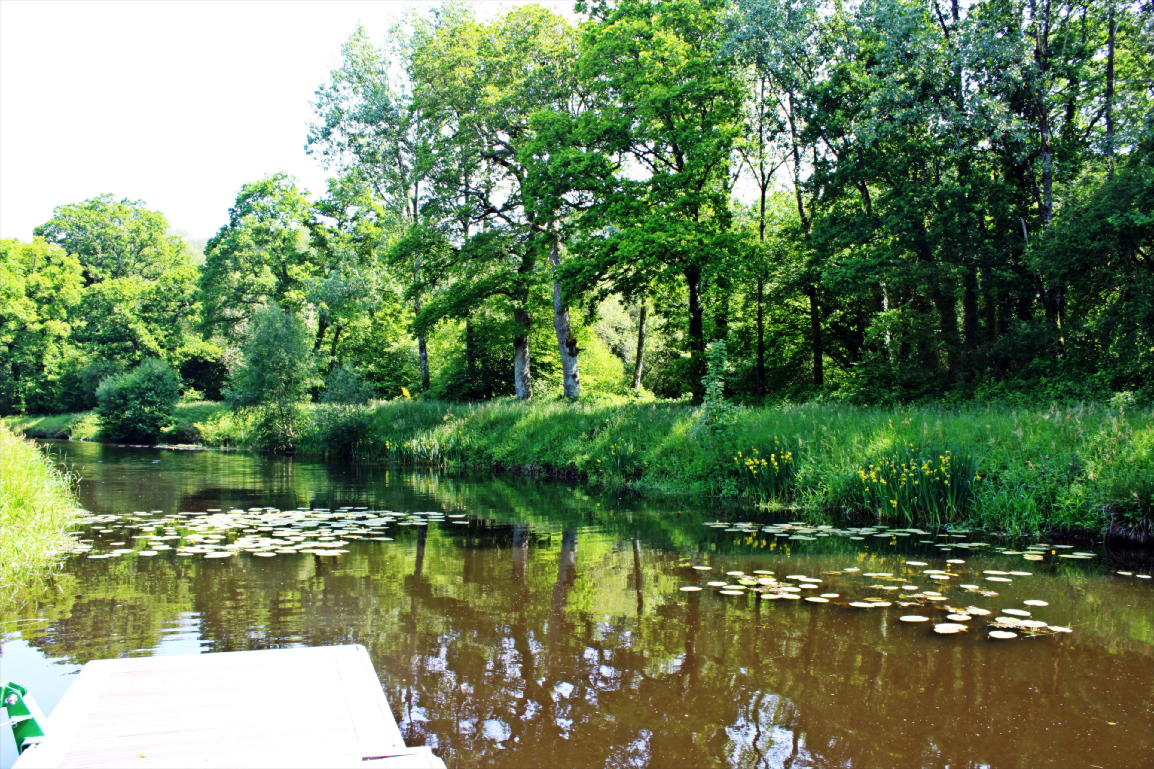 Naturhäuschen in Plouguernevel