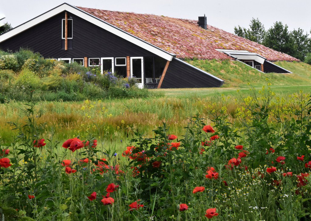 Natuurhuisje in Rijssen