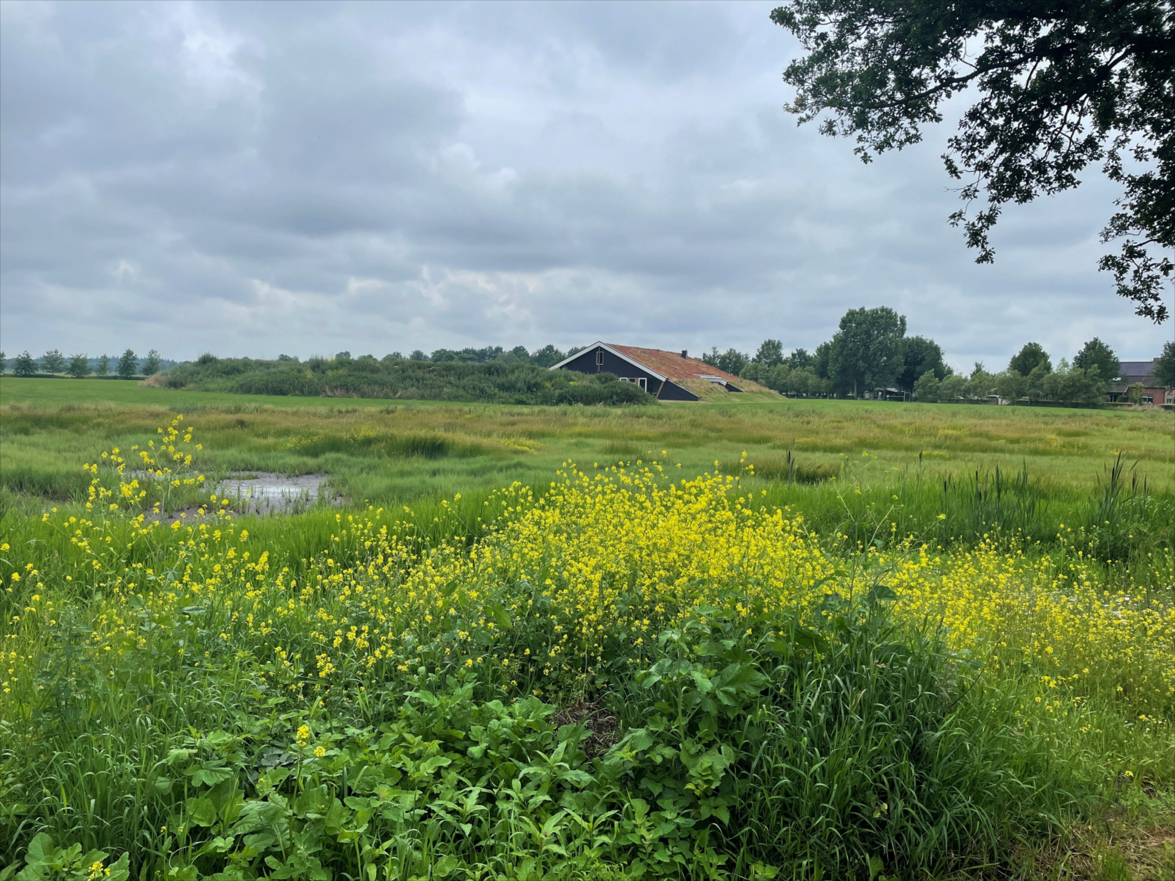 Natuurhuisje in Rijssen