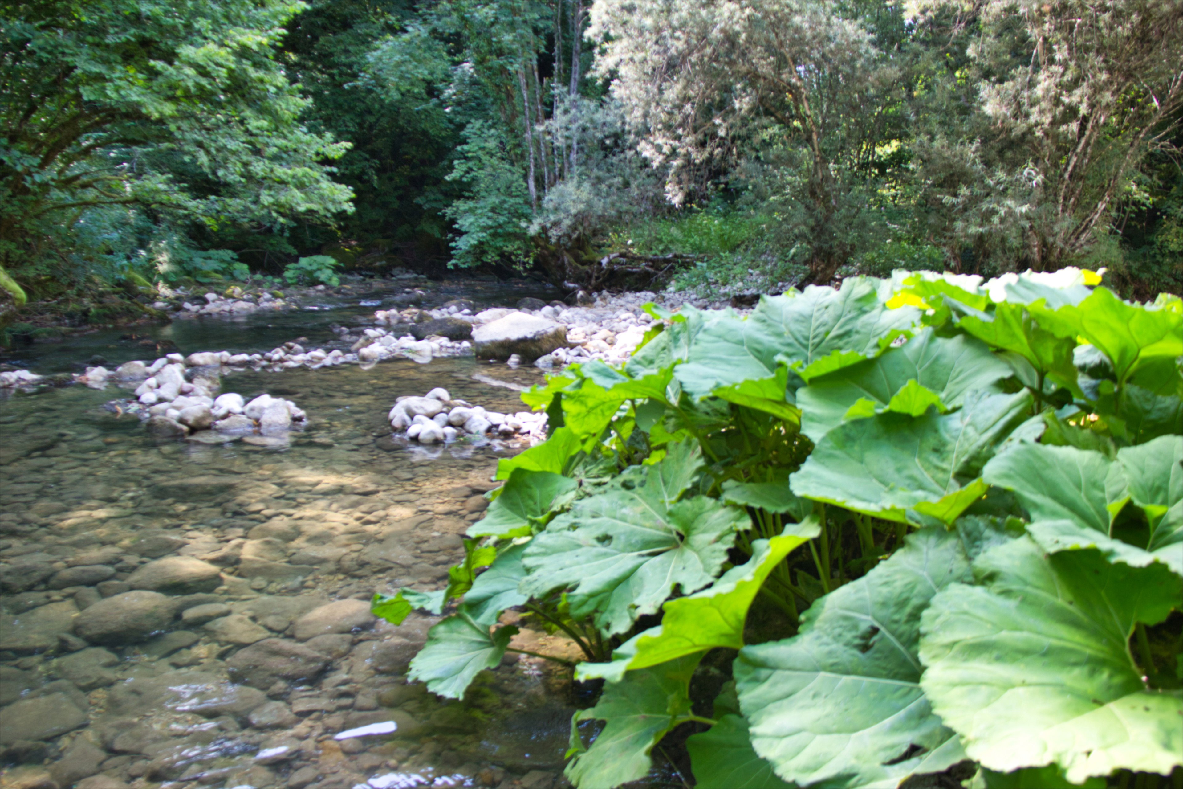 - image: 13
