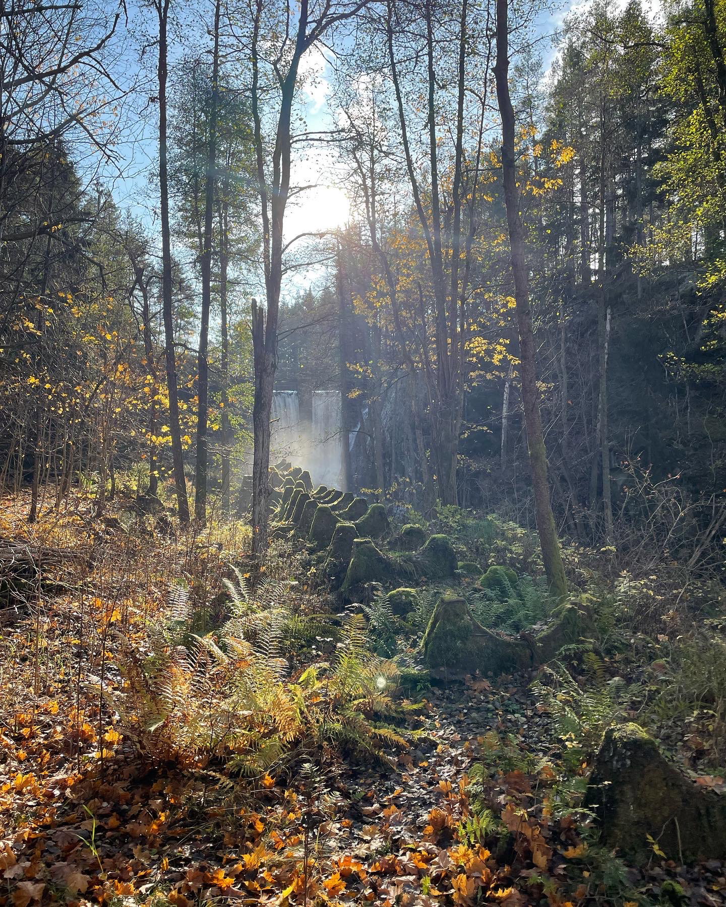 Casa nella natura a Gullringen
