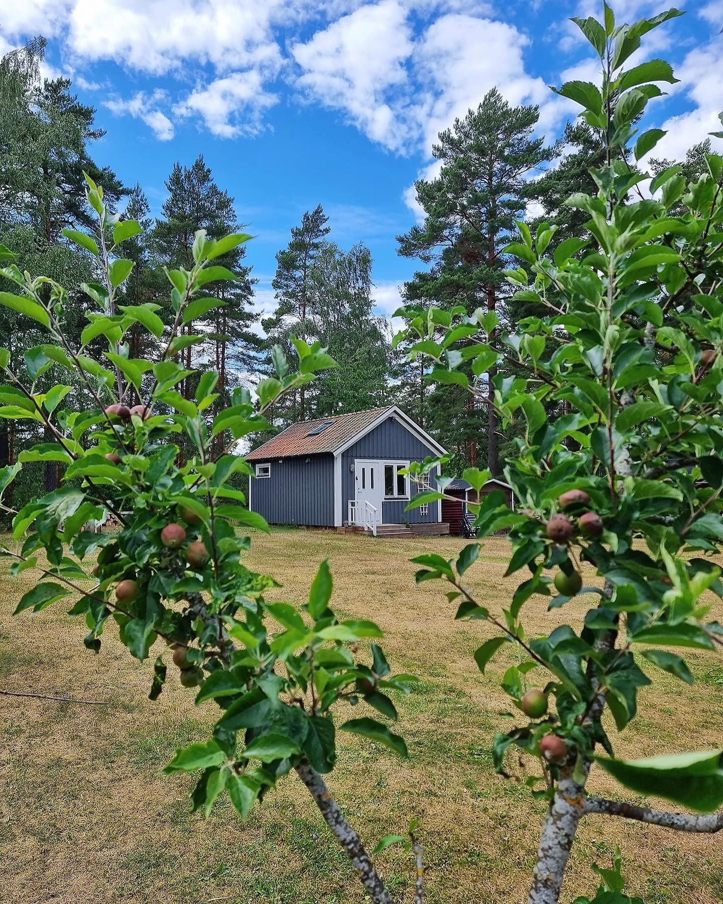 Casa nella natura a Gullringen