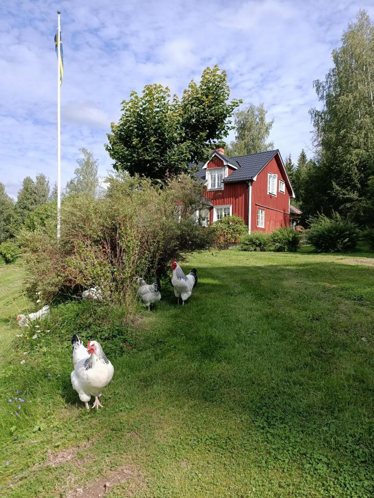 Natuurhuisje in Östra Ämtervik