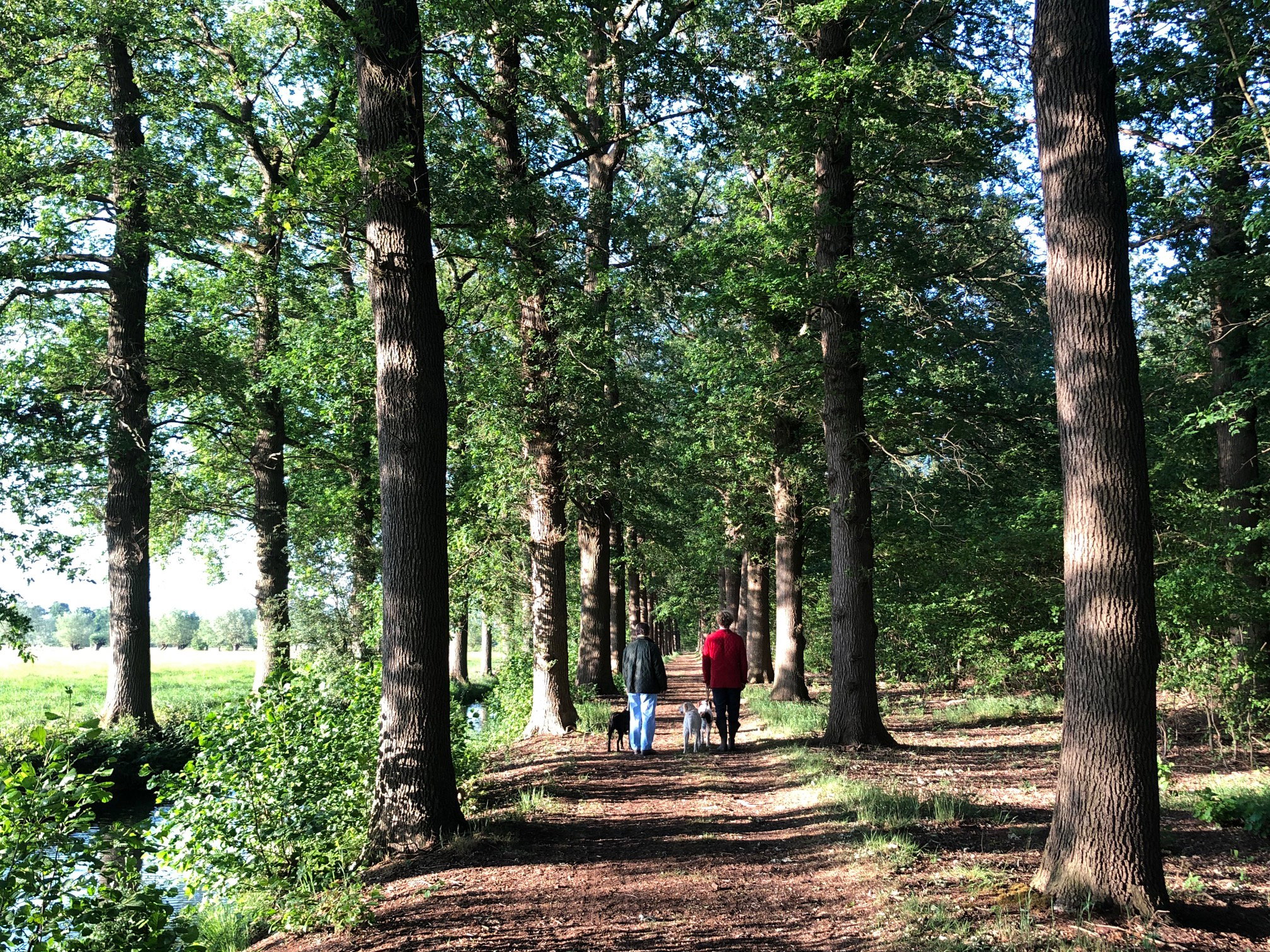 Maison nature à Driebergen