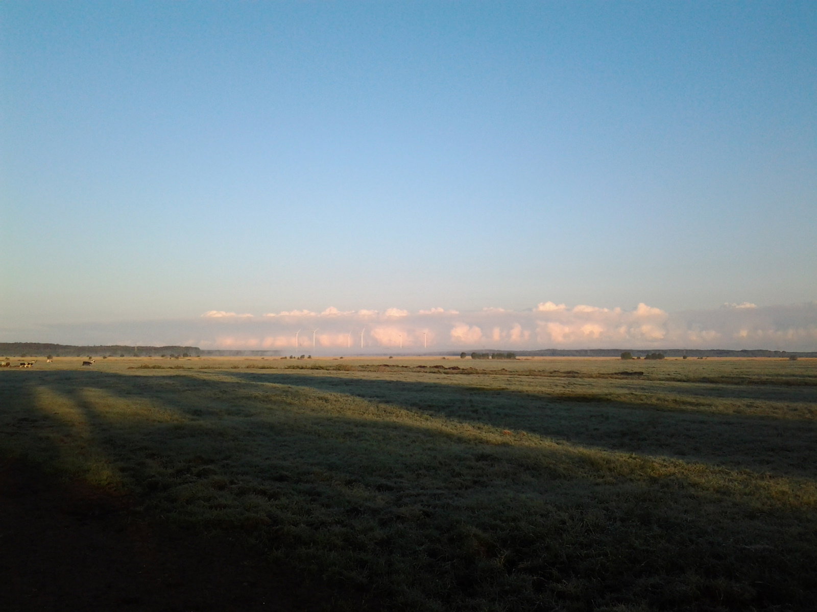 - image: 16