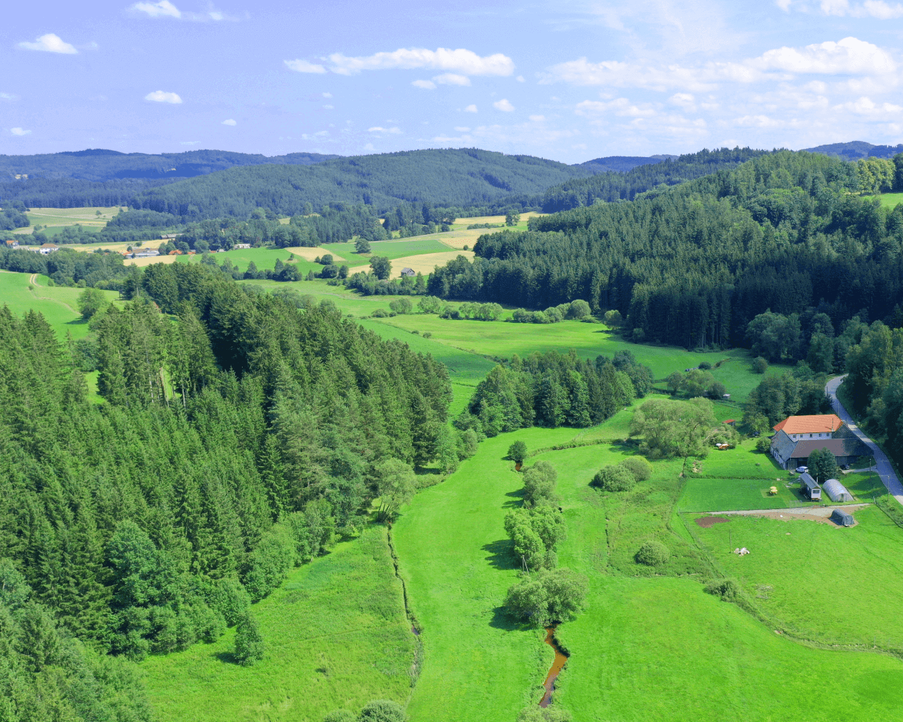 - image: 10