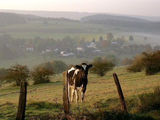 Naturhäuschen in Herscheid