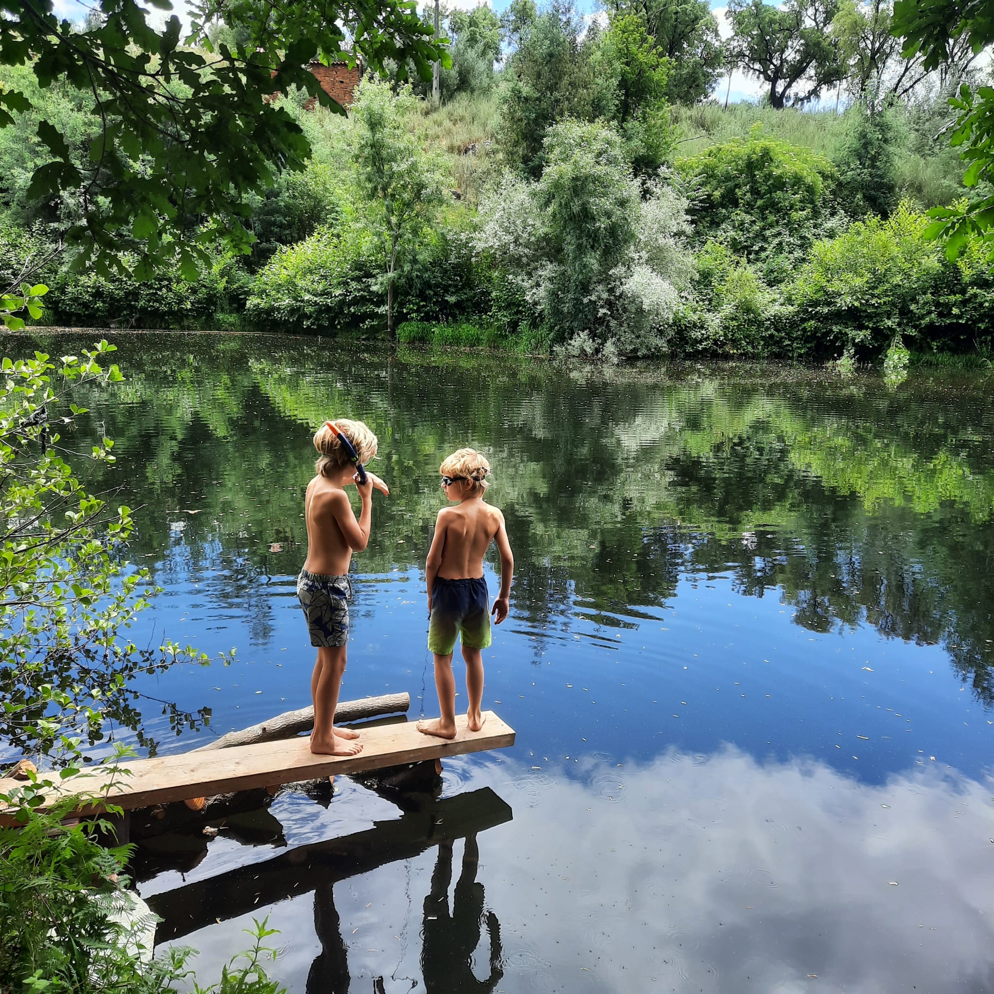 Natuurhuisje in Digueifel