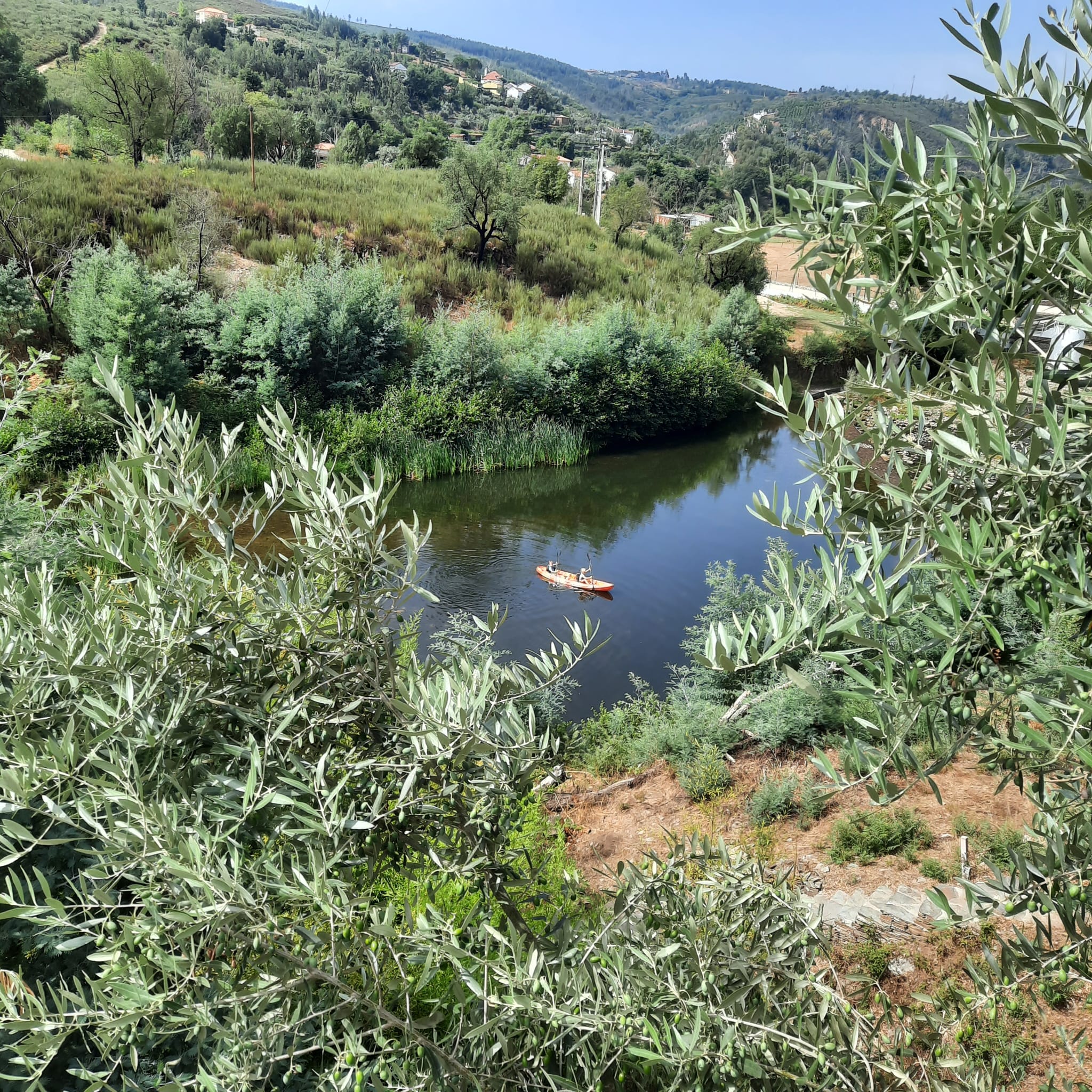 Natuurhuisje in Digueifel
