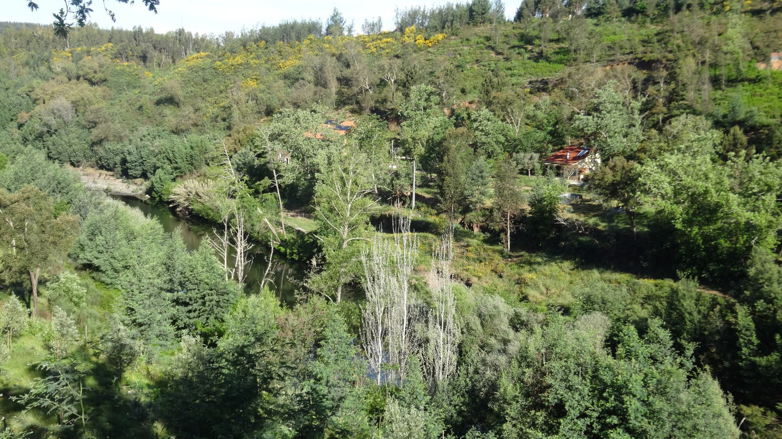 Natuurhuisje in Digueifel