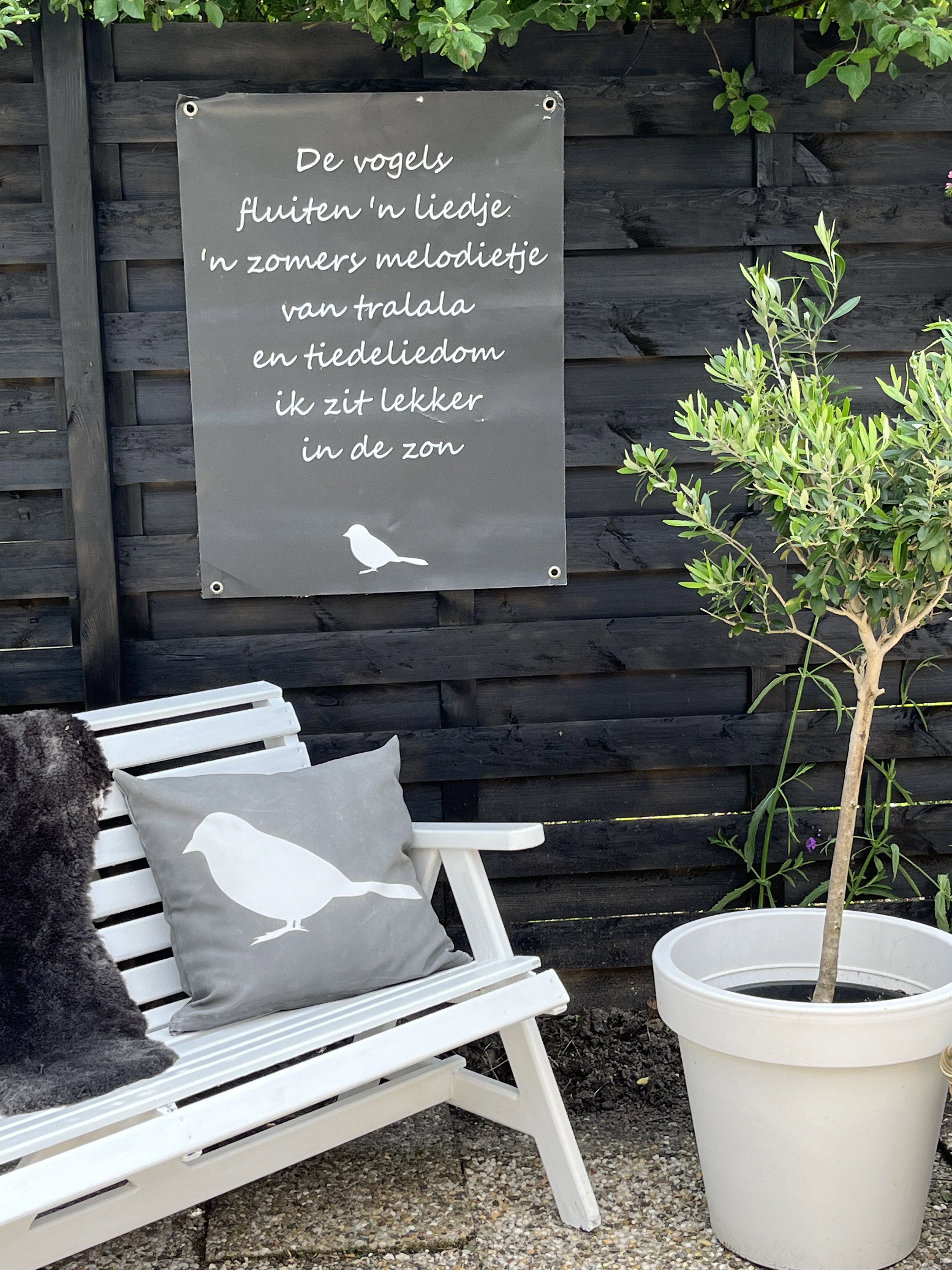 - image: 22