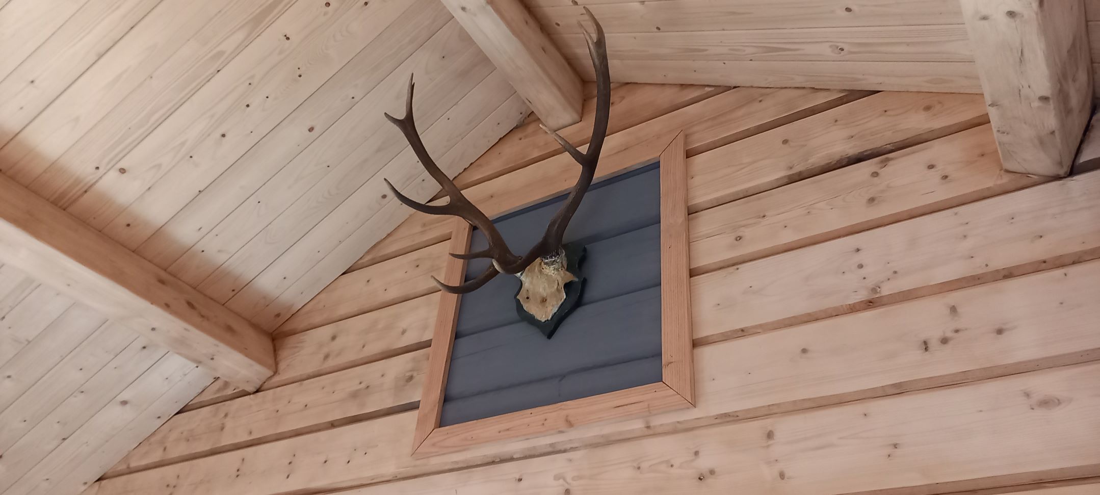 Casa nella natura a Ermelo