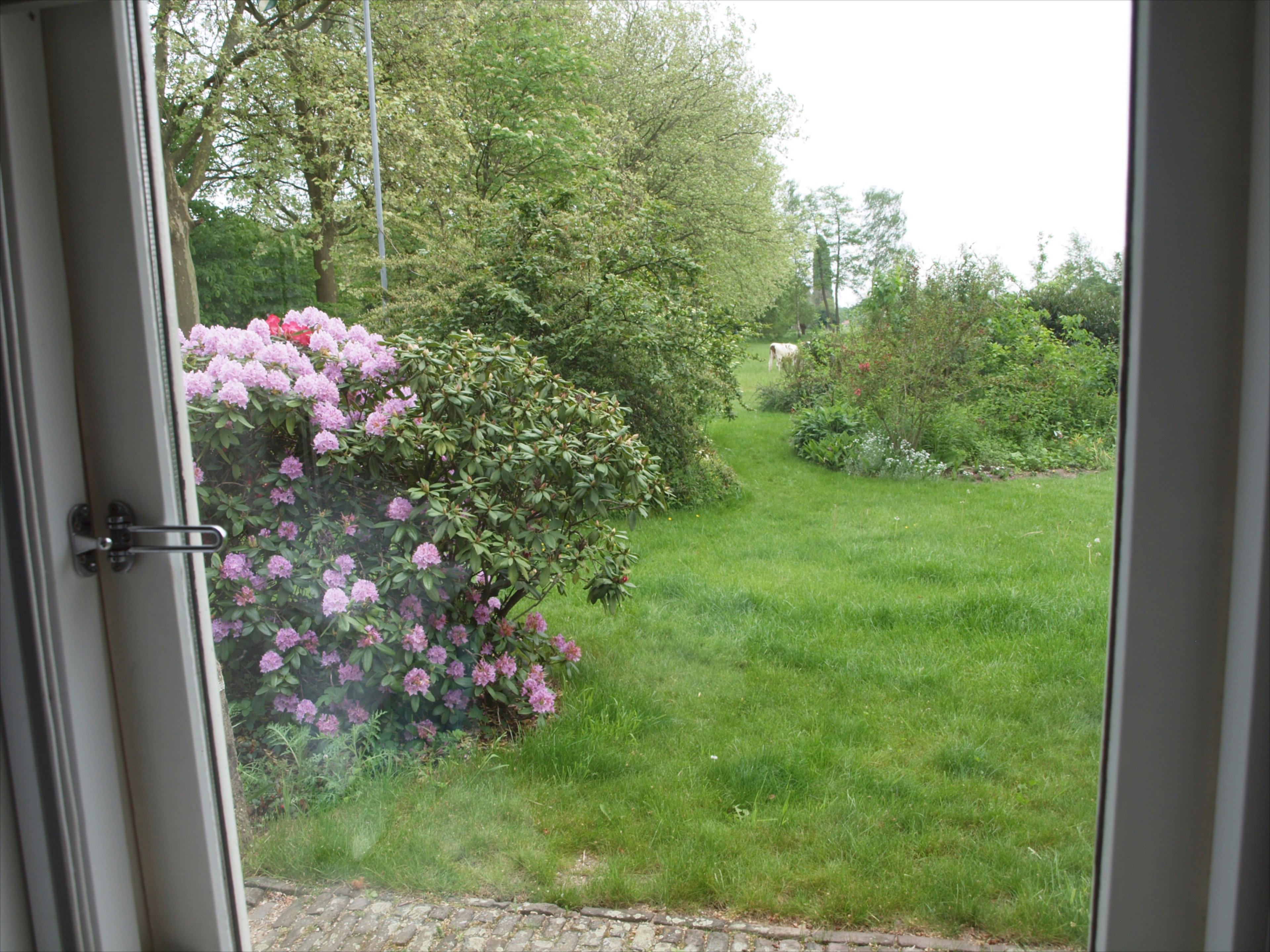 Naturhäuschen in Breedenbroek
